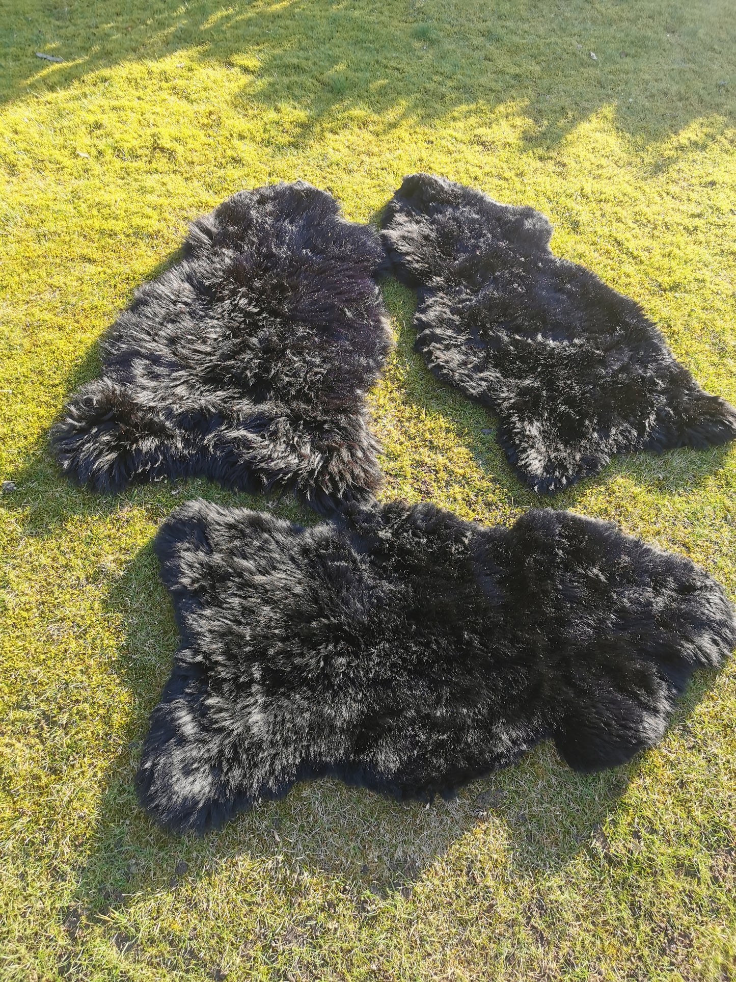 Merino Premium Felle in NATUR Schwarz/Dunkelbraun
