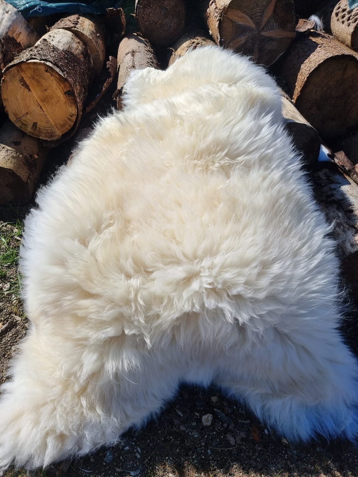 Natural white XXXL giant furs