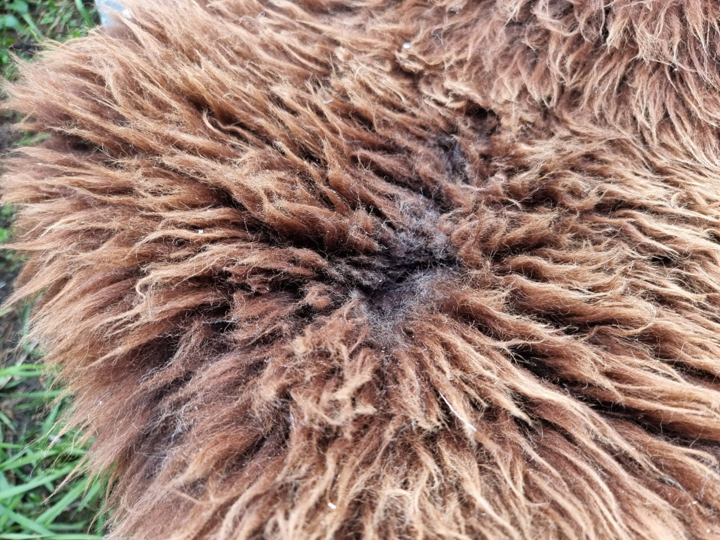 Natur-Braune B Schaffelle