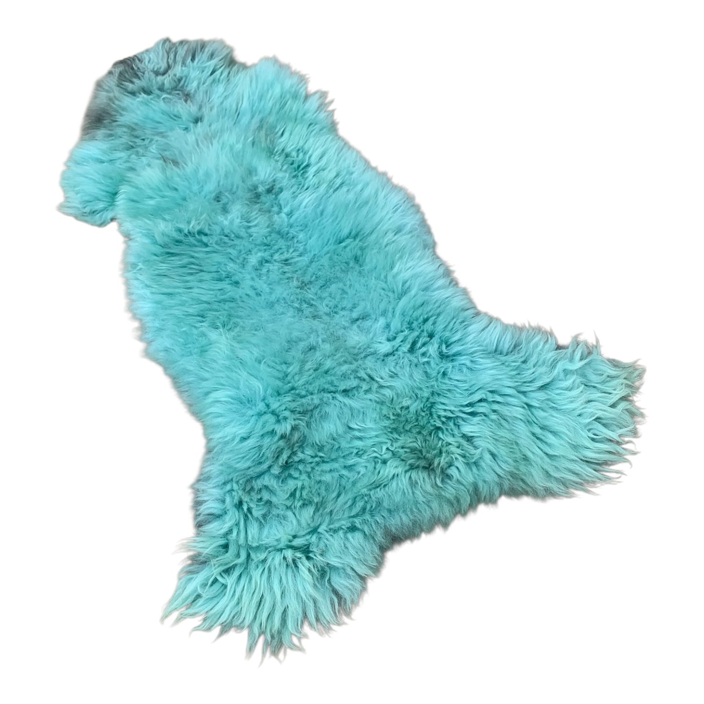 BUNTE Schaffell | Türkis | Echtes Lammfell |Teppich Deko | 120cm | Sitzauflage