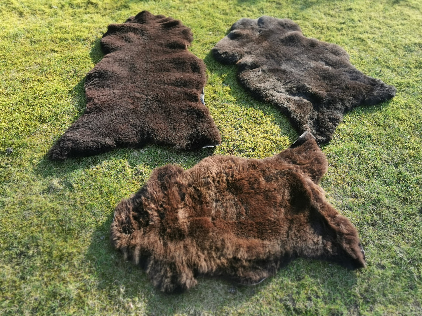 Merino Premium Felle in NATUR Schwarz/Dunkelbraun