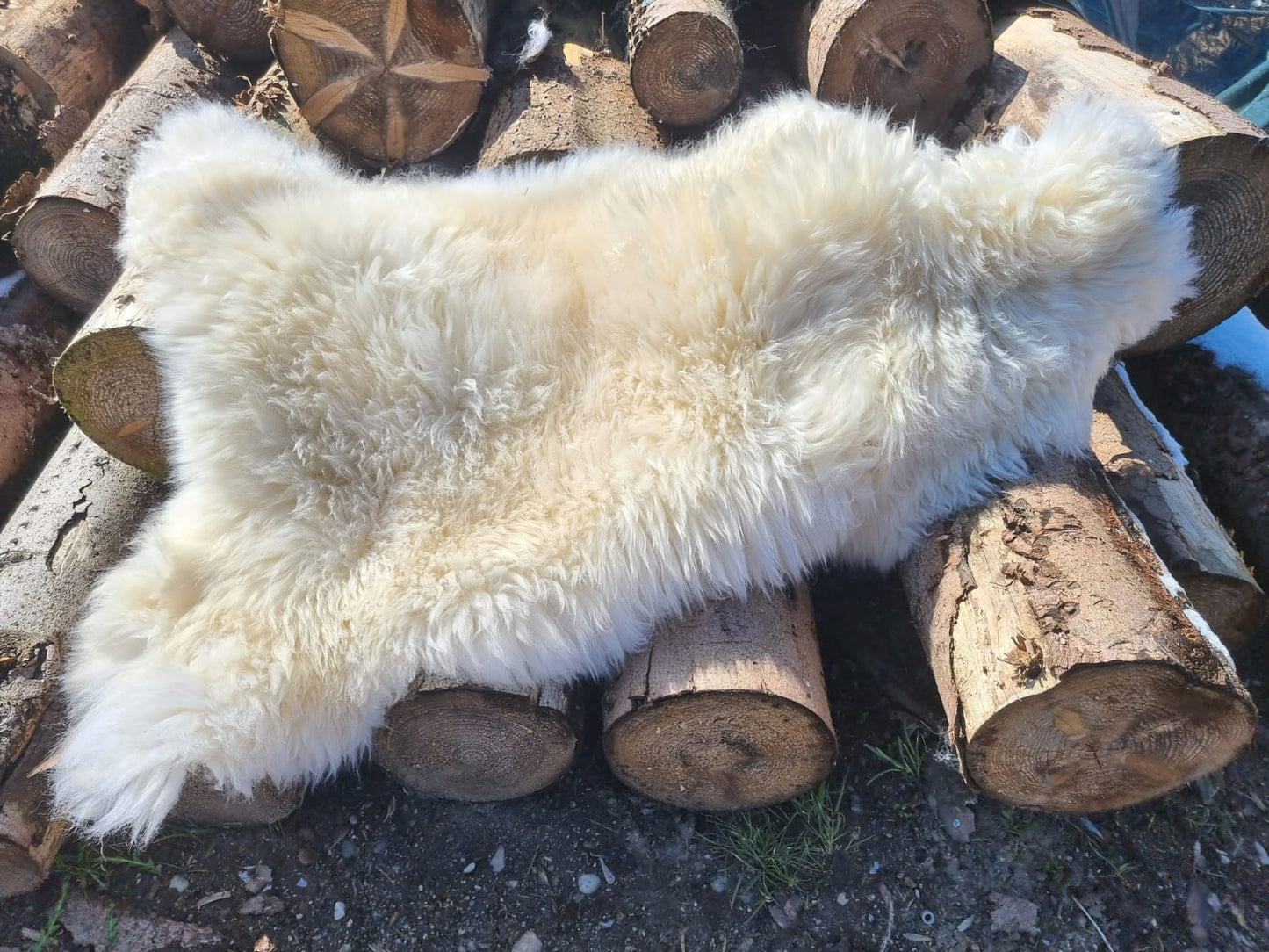 Natural white XXXL giant furs