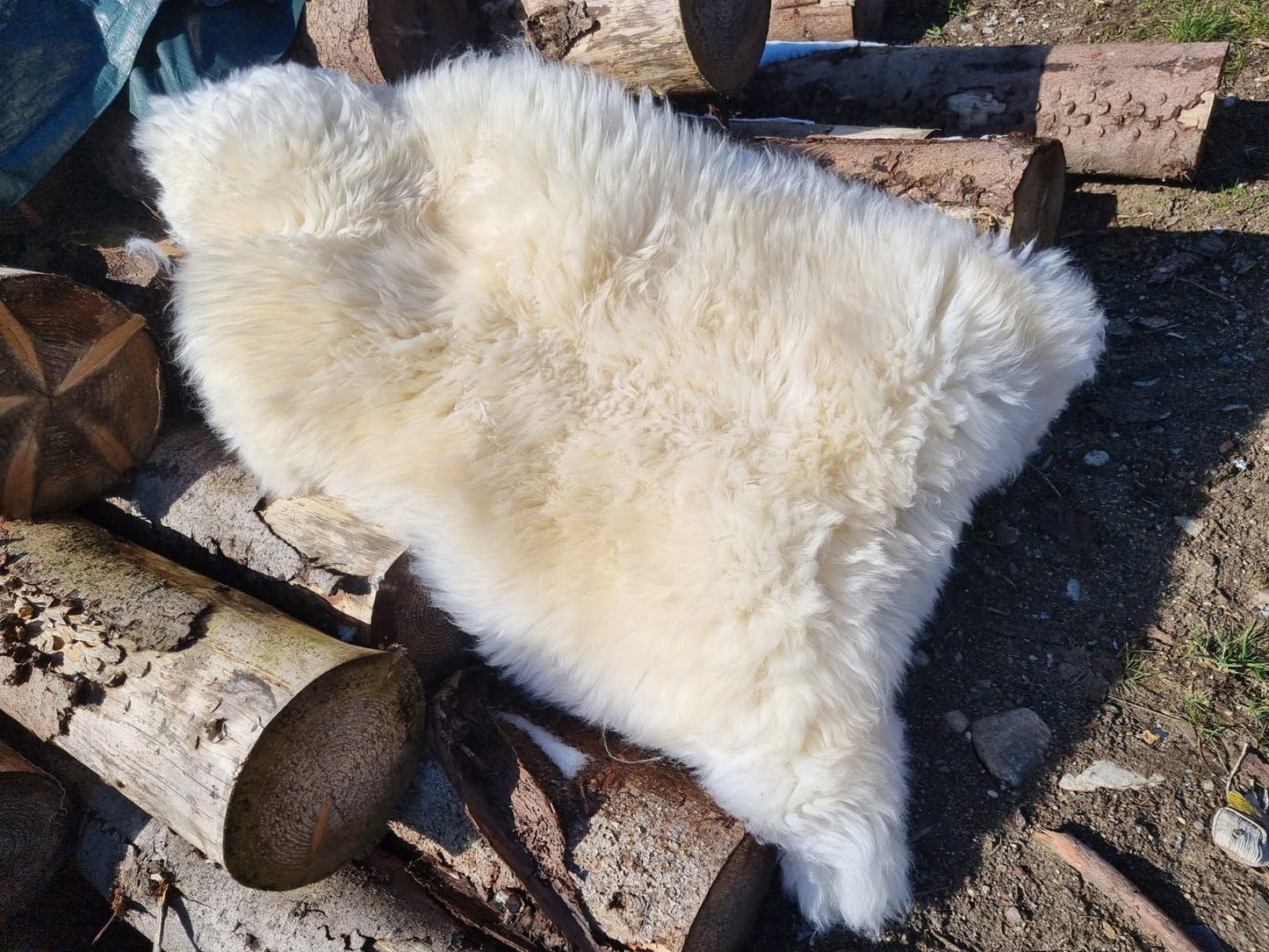 Natural white XXXL giant furs