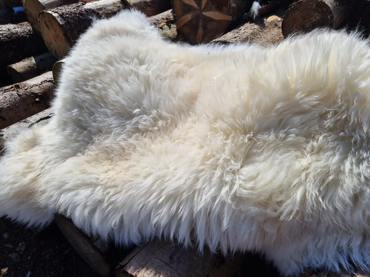 Natural white XXXL giant furs