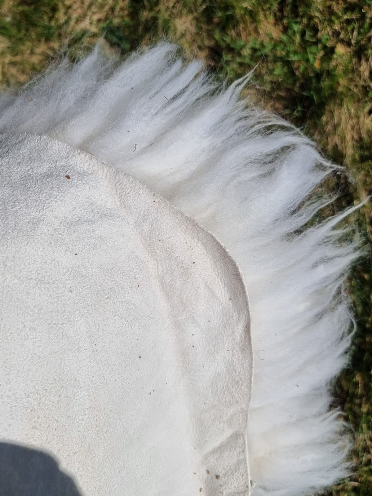 Natural white XXXL giant furs