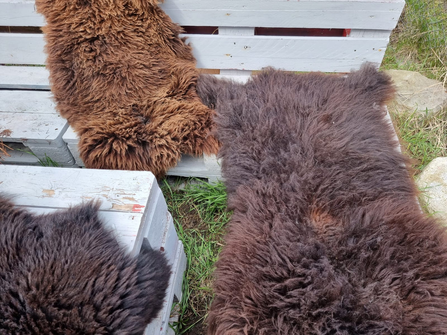 Natur-Braune B Schaffelle