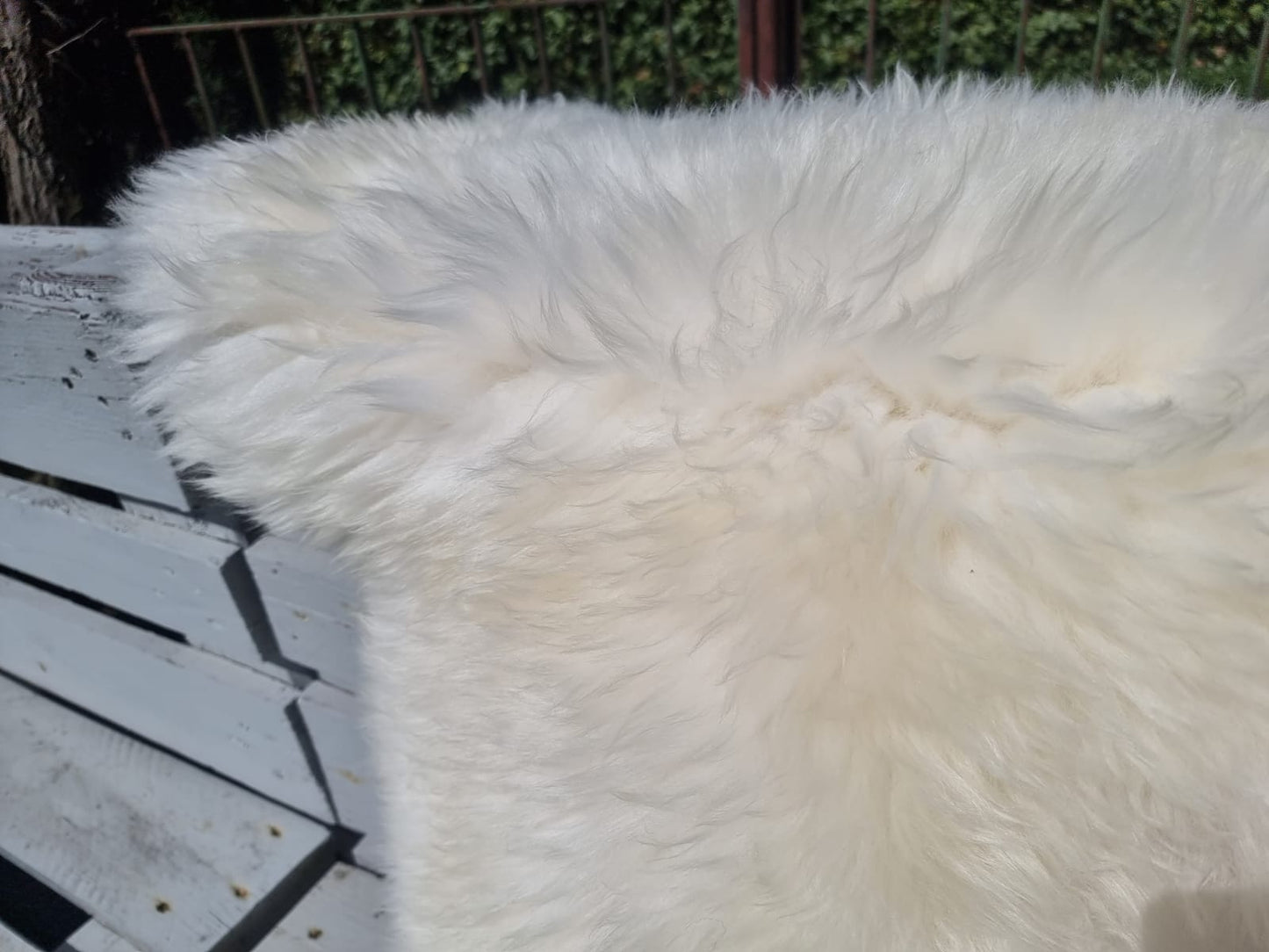 Natur-Weisse B Schaffelle