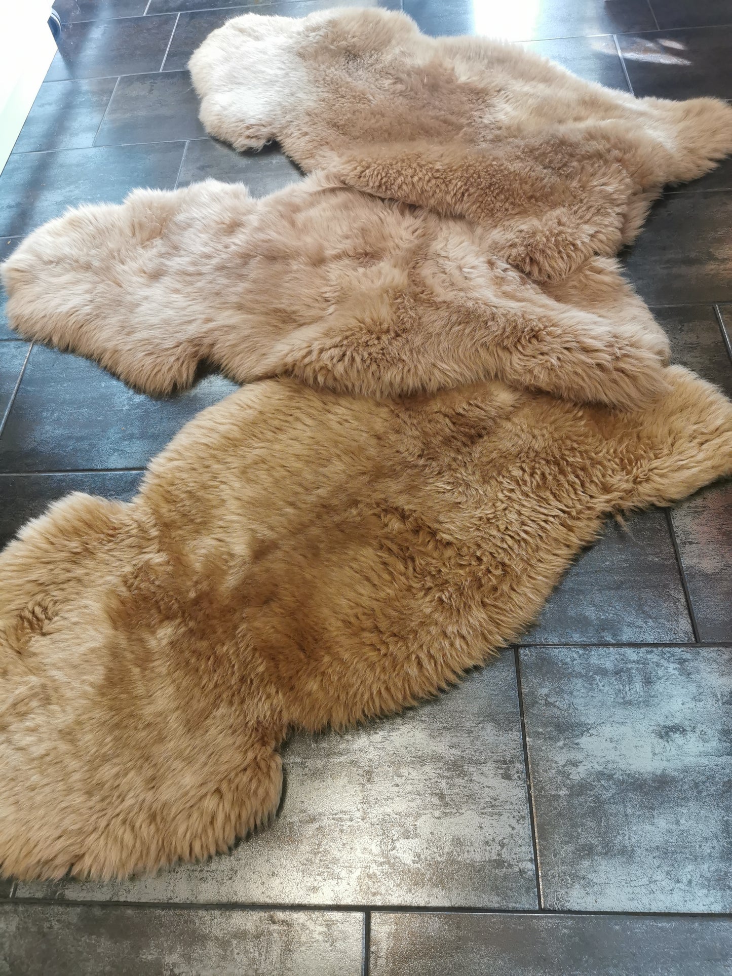 Schaffelle in vielen Farben und Größen. Lammfell-Teppiche