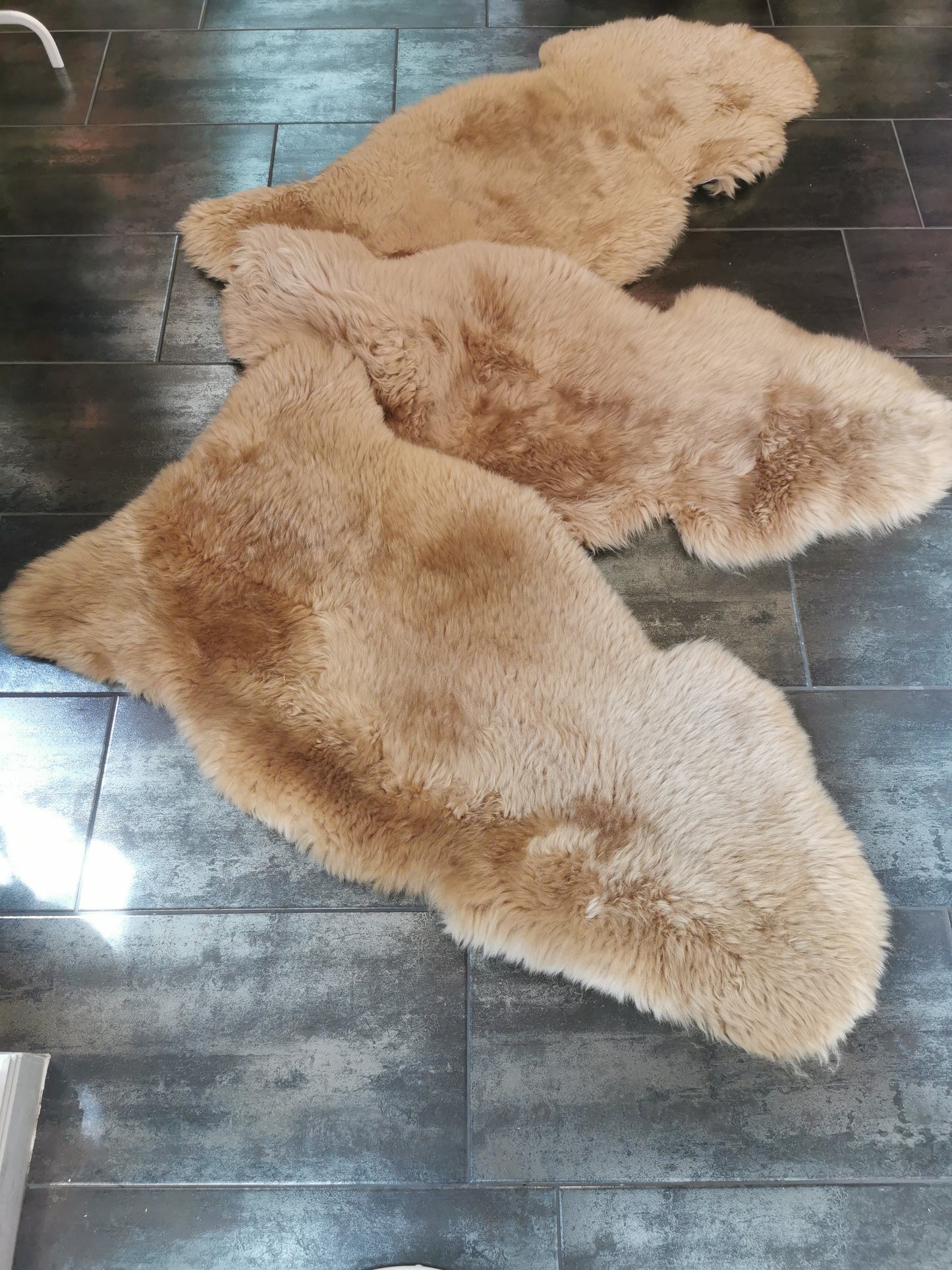 Merino Premium Felle in Hellbraun