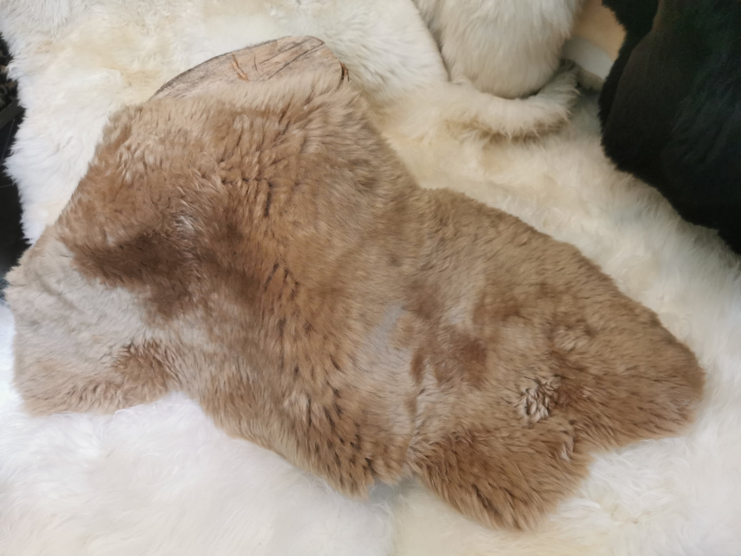 Merino Premium Felle in Hellbraun