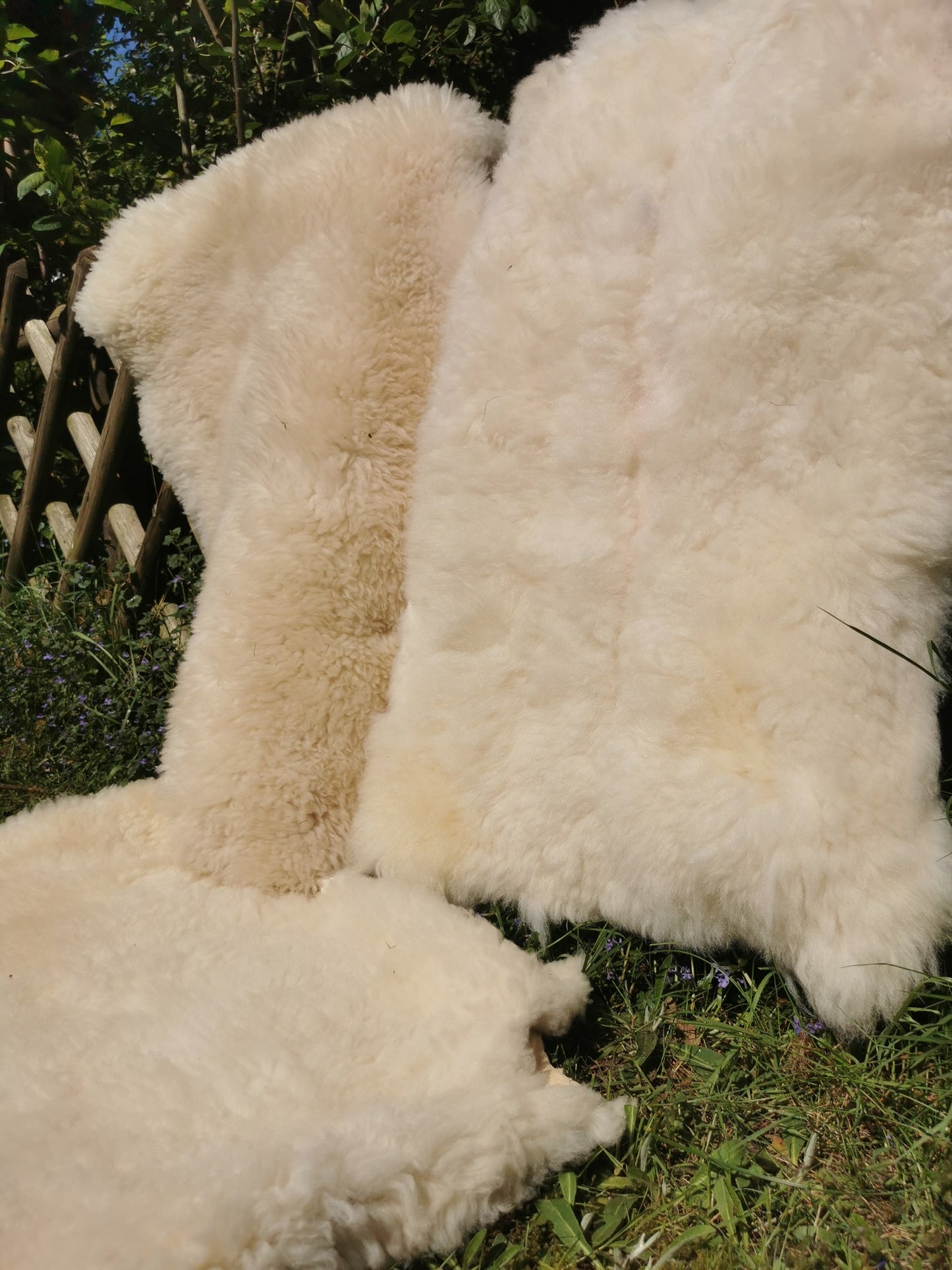 Merino Premium hides in NATURAL White