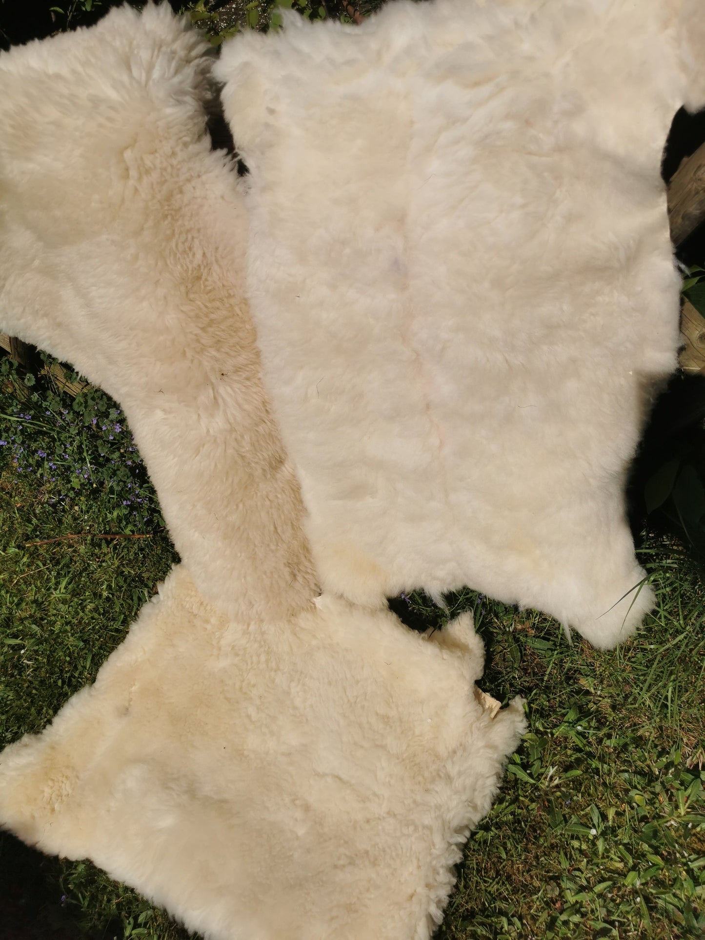 Merino Premium hides in NATURAL White