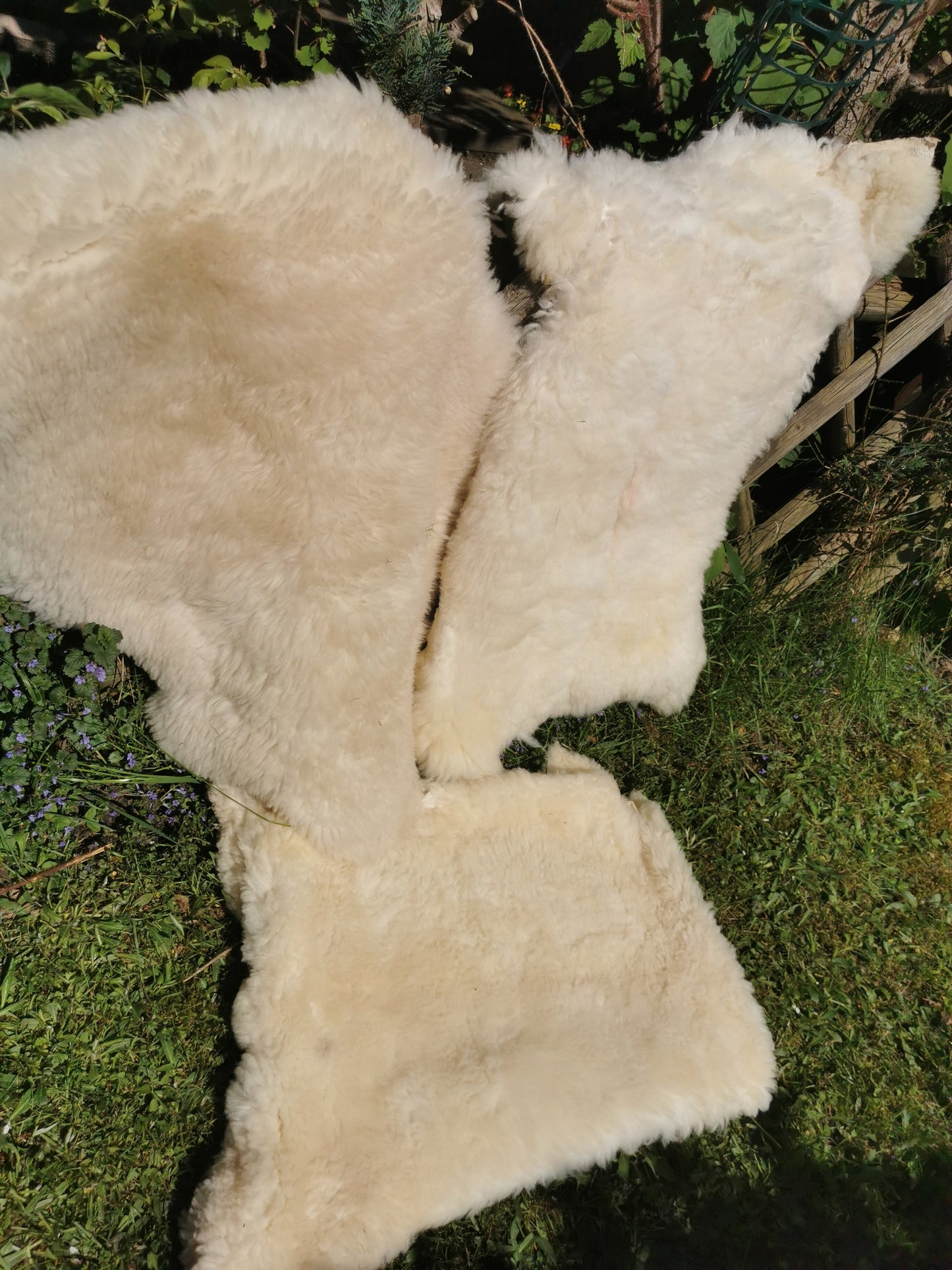 Merino Premium hides in NATURAL White