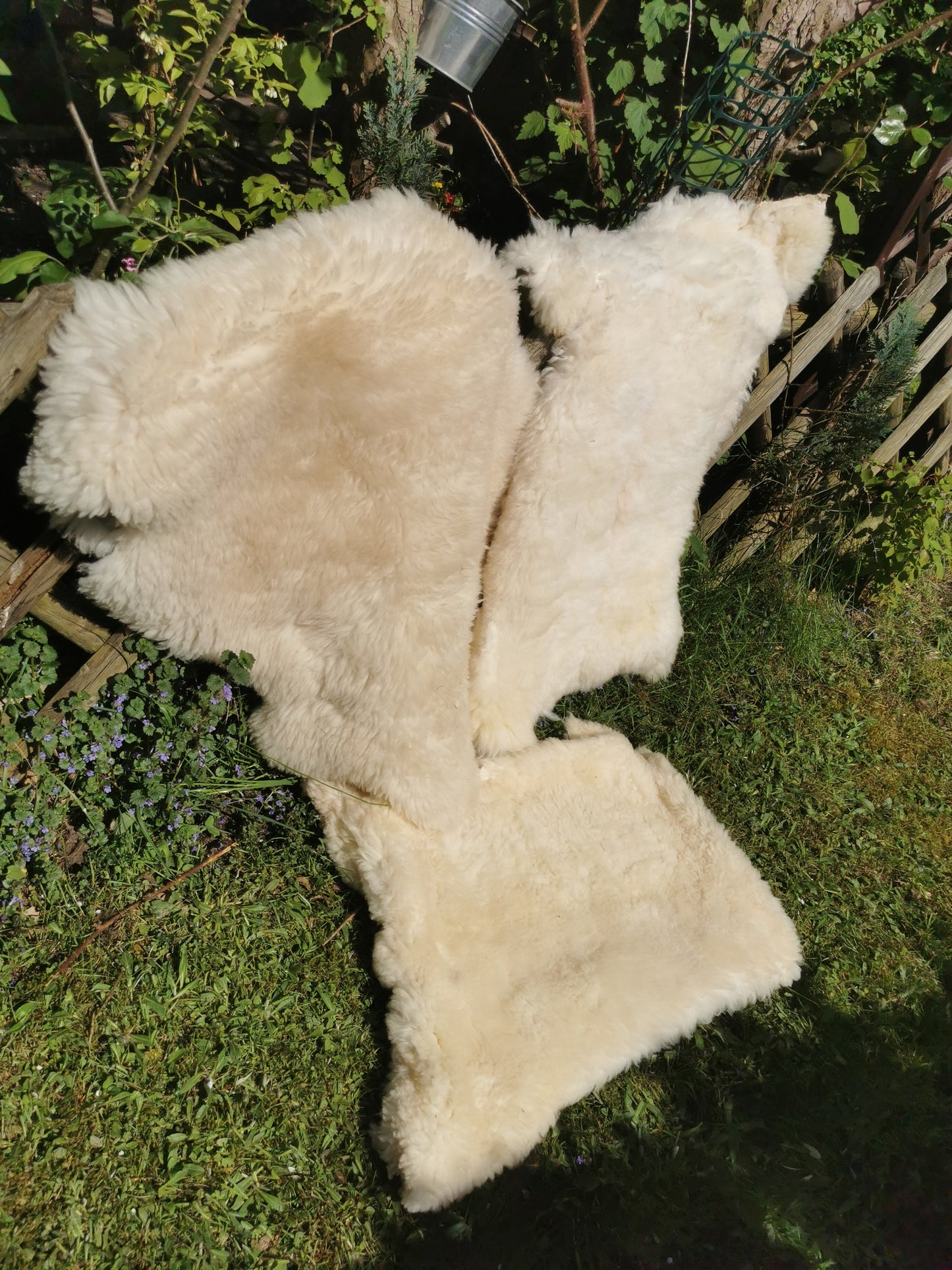 Merino Premium hides in NATURAL White