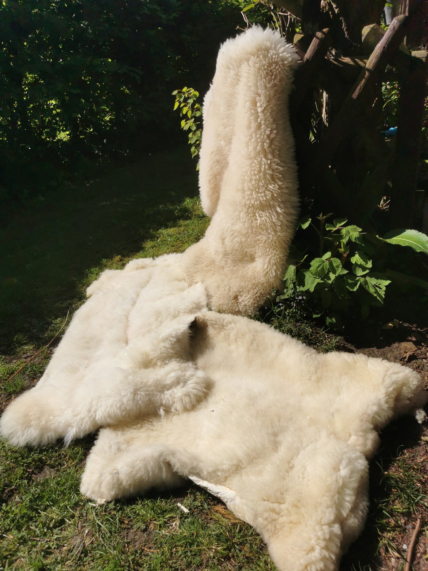 Merino Premium hides in NATURAL White