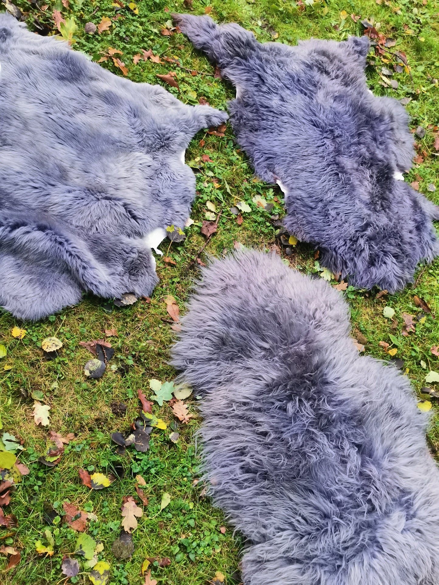 XXL Merino Premium Felle in Grau dichter Wolle