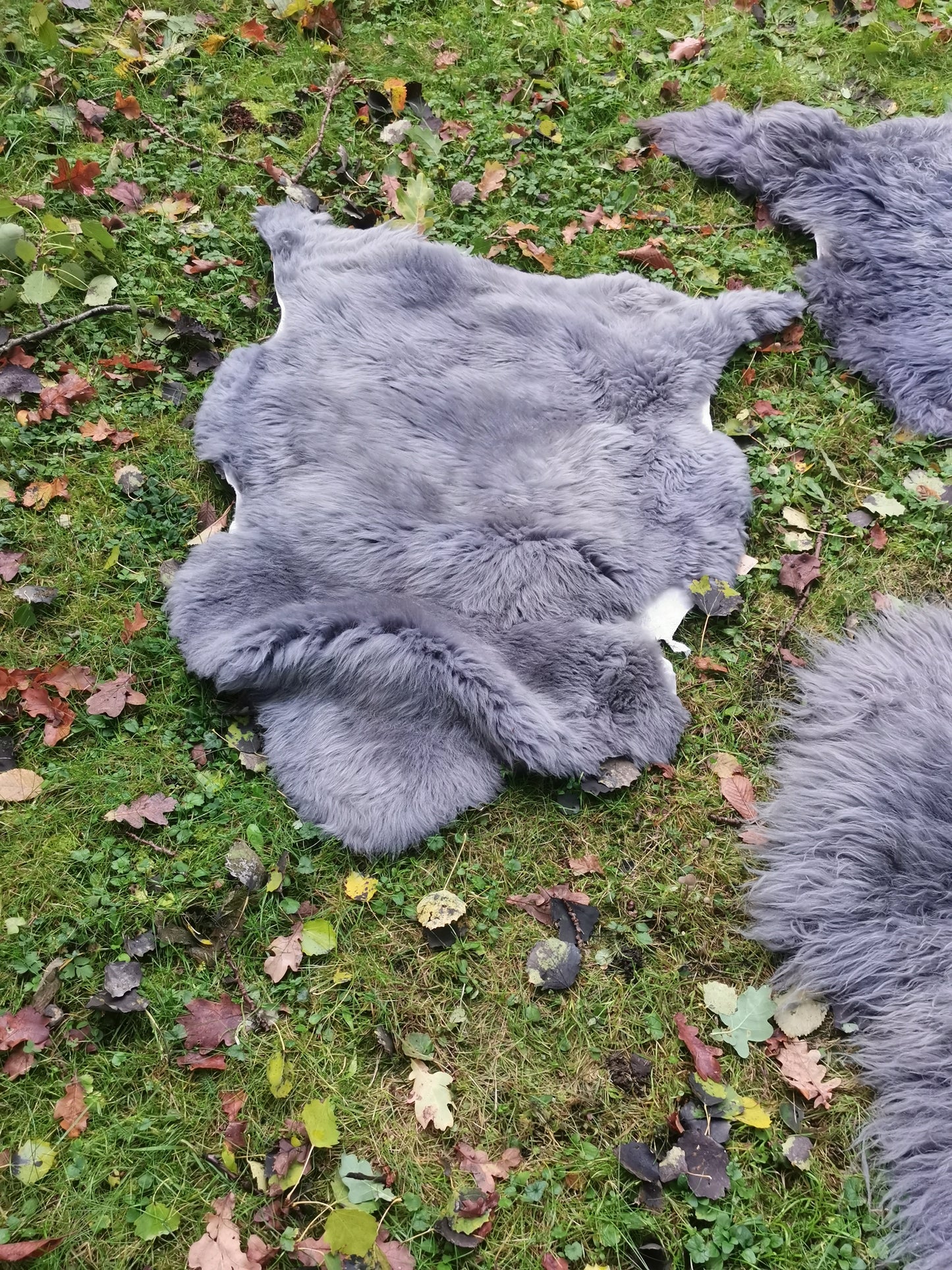XXL Merino Premium Felle in Grau dichter Wolle