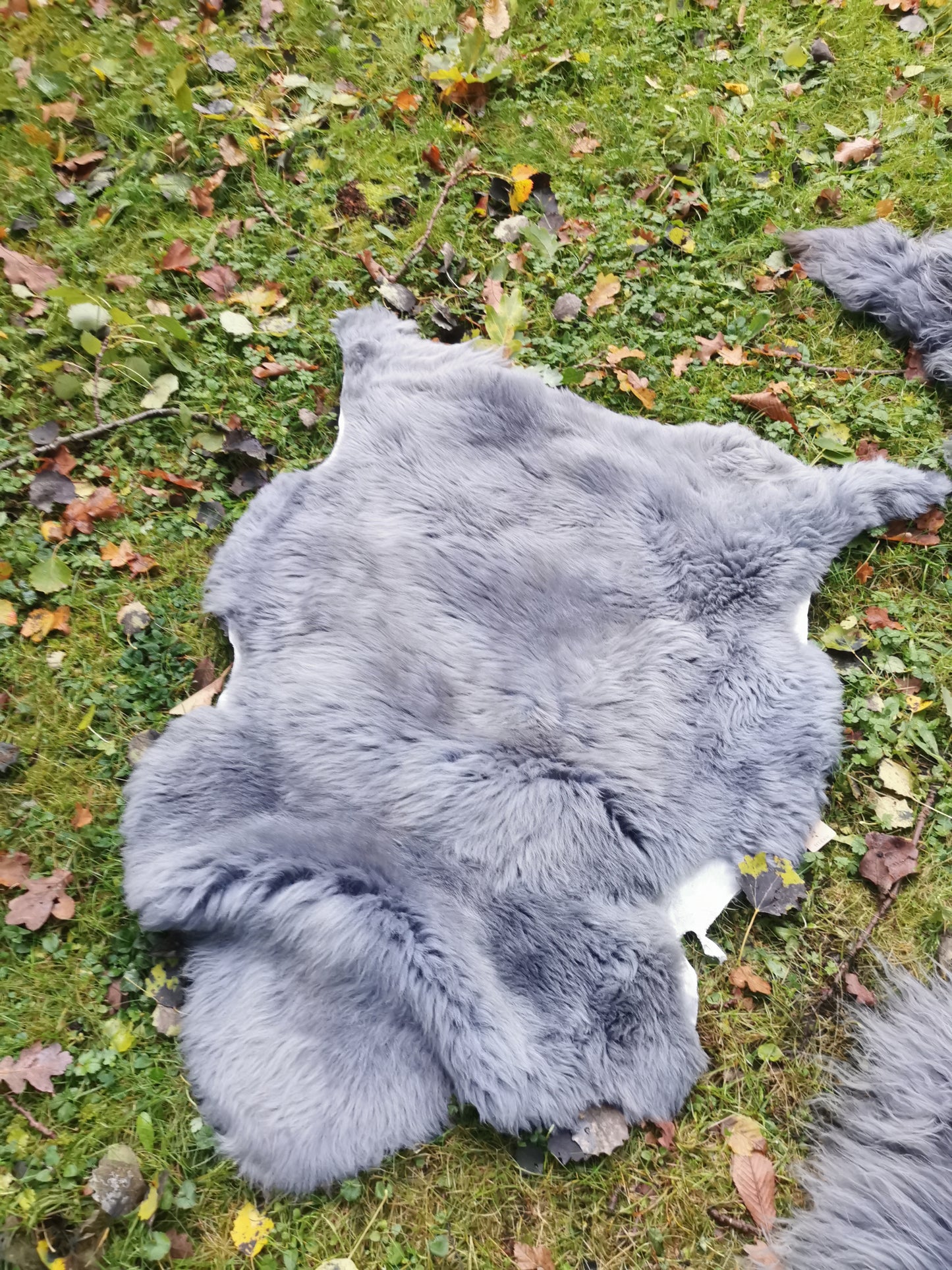 XXL Merino Premium Felle in Grau dichter Wolle