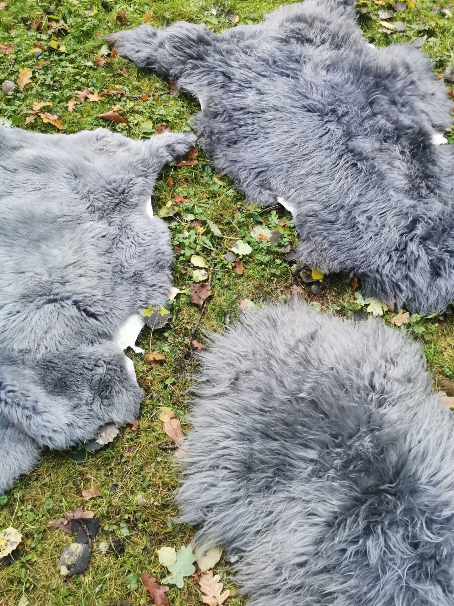XXL Merino Premium Felle in Grau dichter Wolle