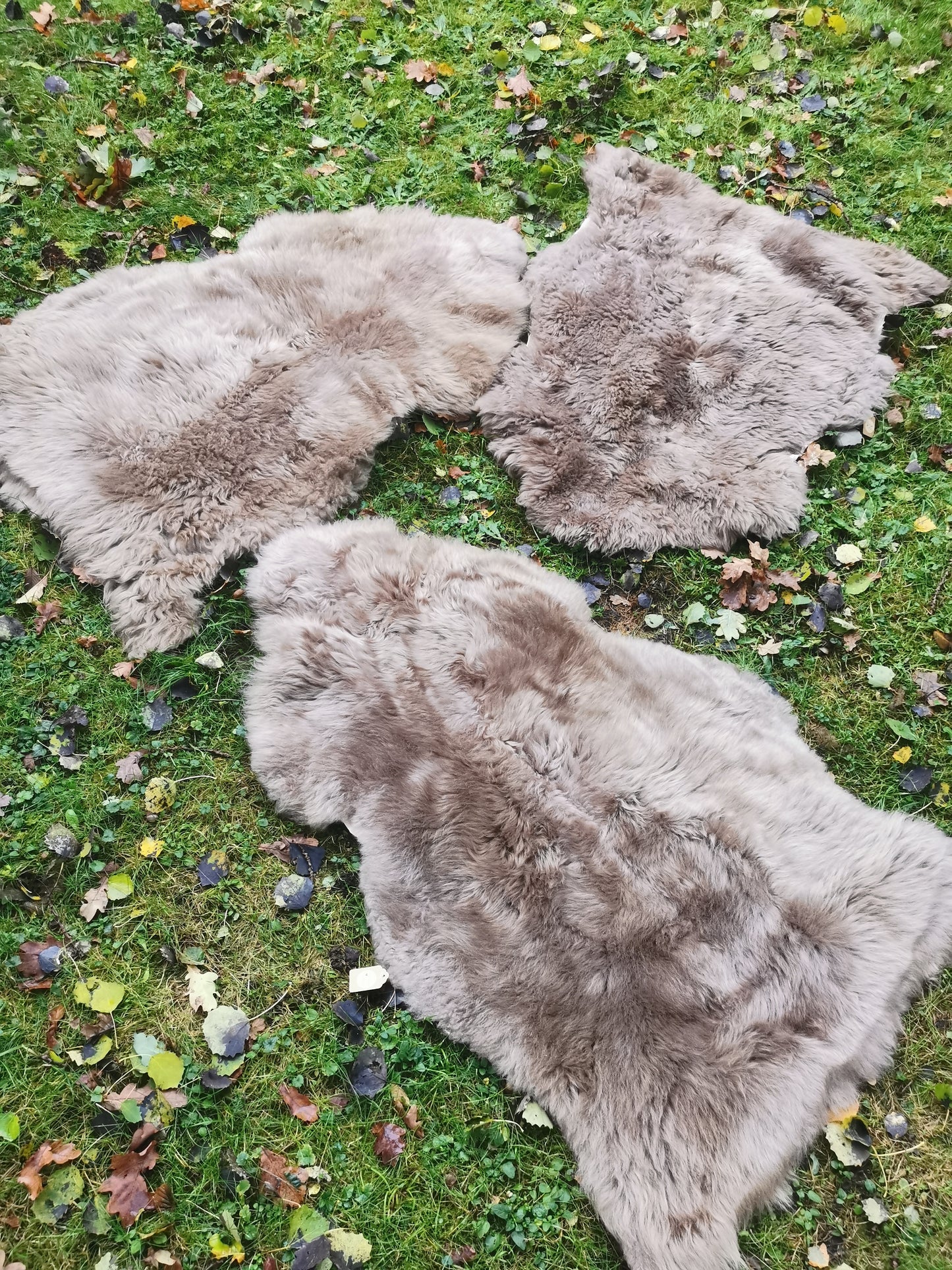 Merino Premium Felle in Taupe