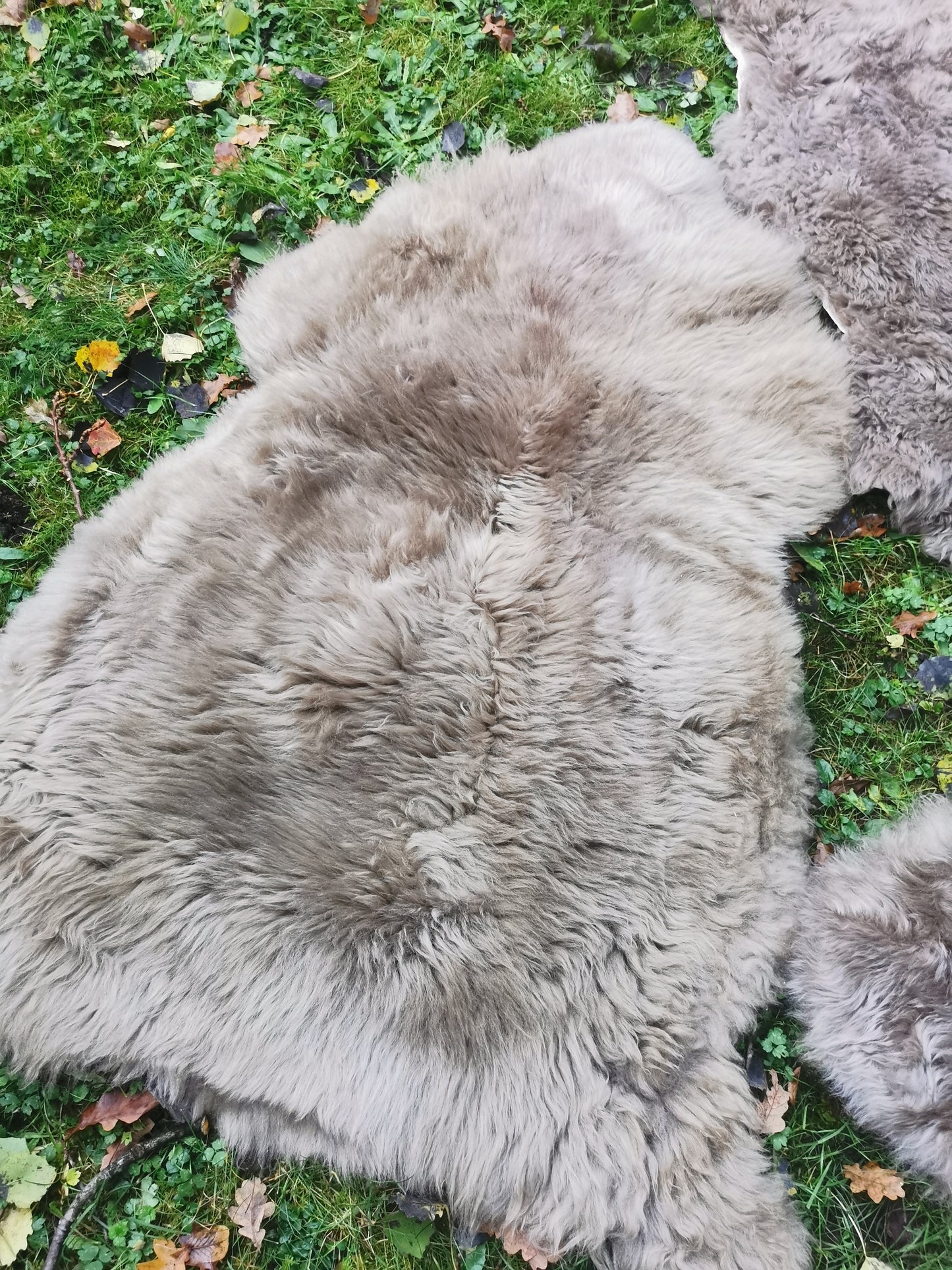 Schaffelle in vielen Farben und Größen. Lammfell-Teppiche
