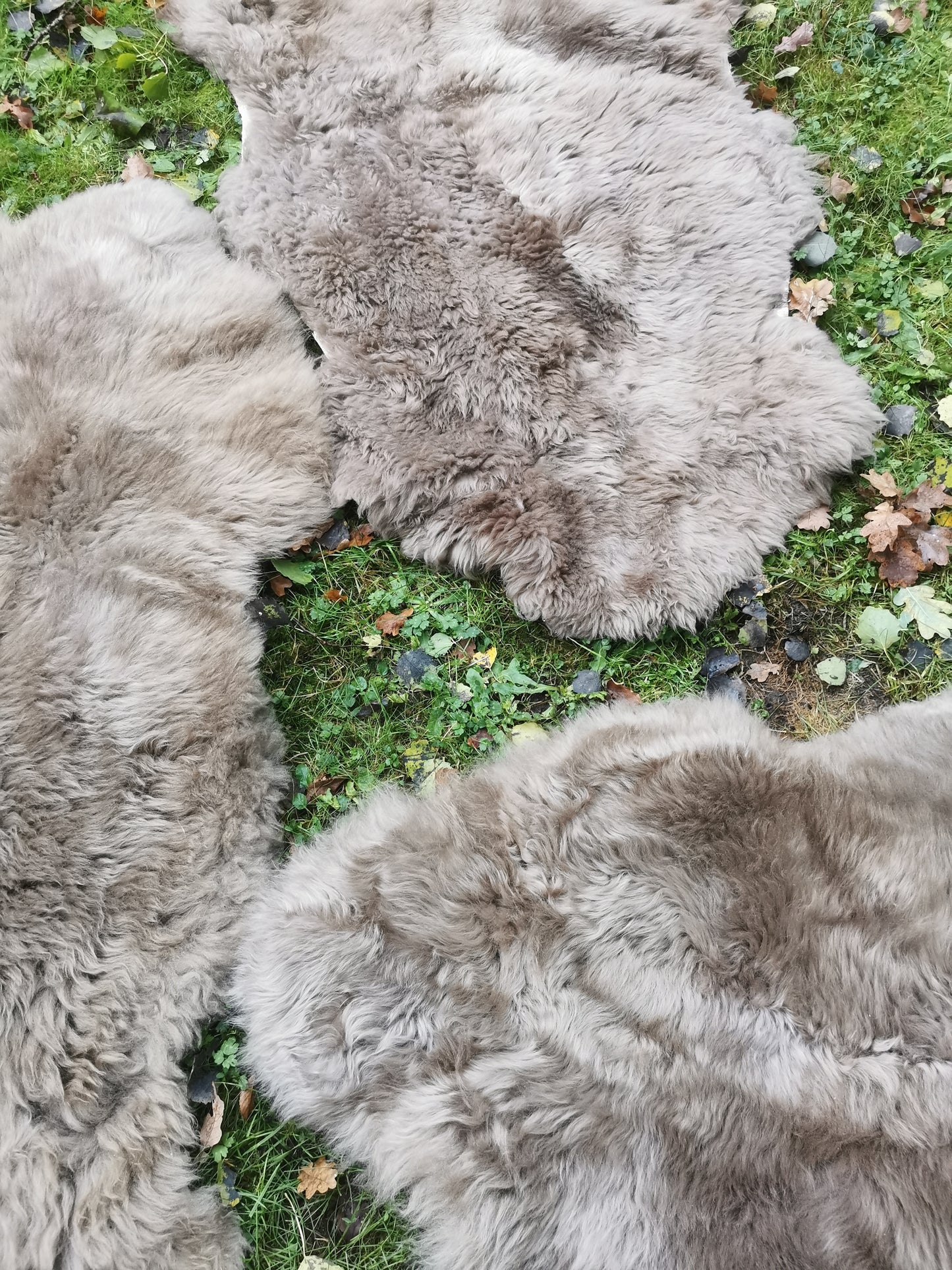 Merino Premium Felle in Taupe