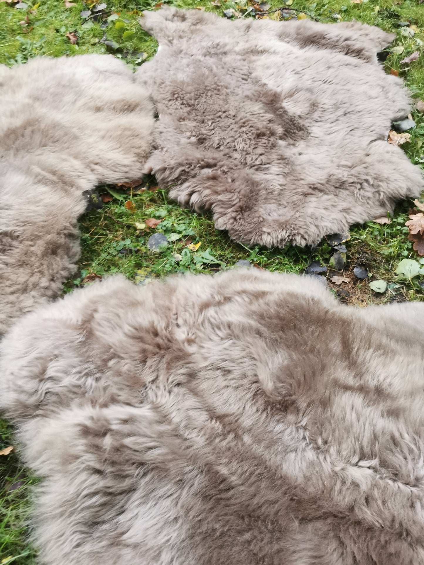 Merino Premium Felle in Taupe