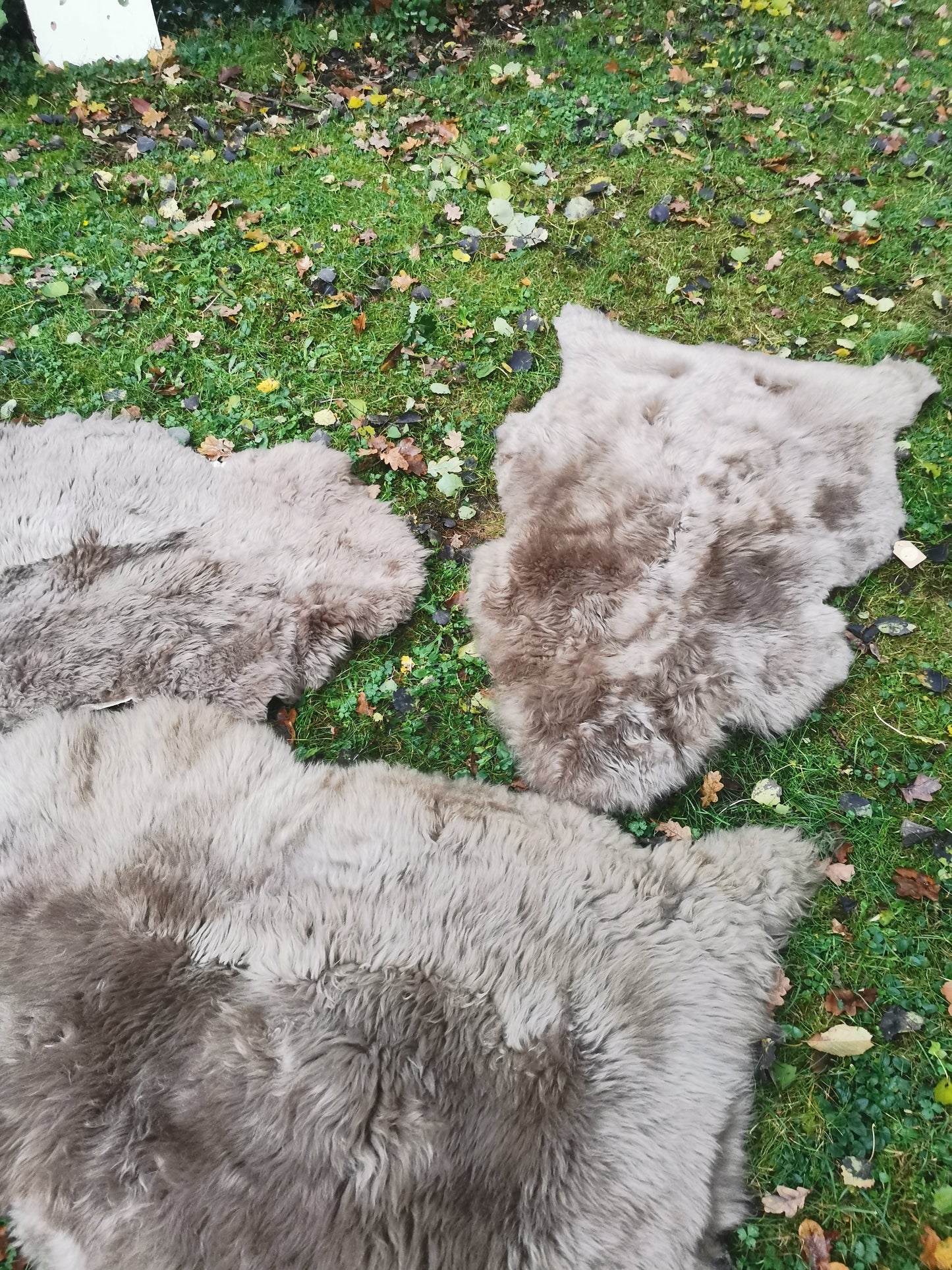 Merino Premium Felle in Taupe