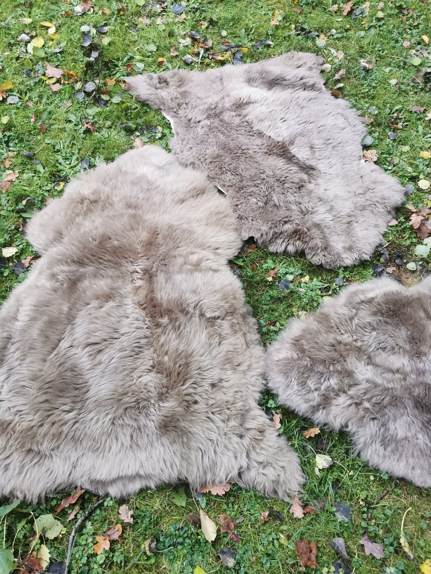 Schaffelle in vielen Farben und Größen. Lammfell-Teppiche