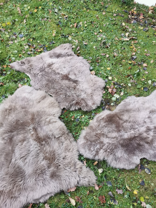 Merino Premium Felle in Taupe
