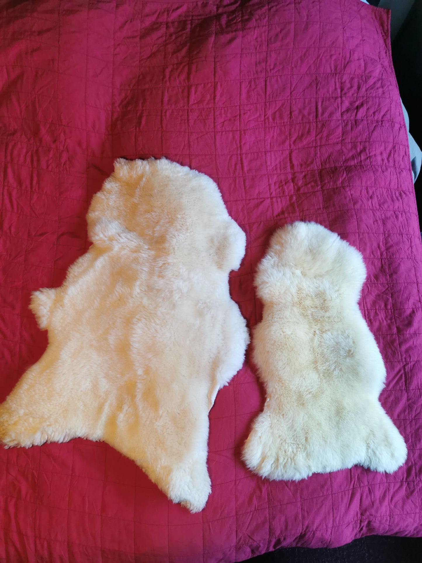 Medizinisch gegerbte Felle Ideal für Baby's und Allergiker
