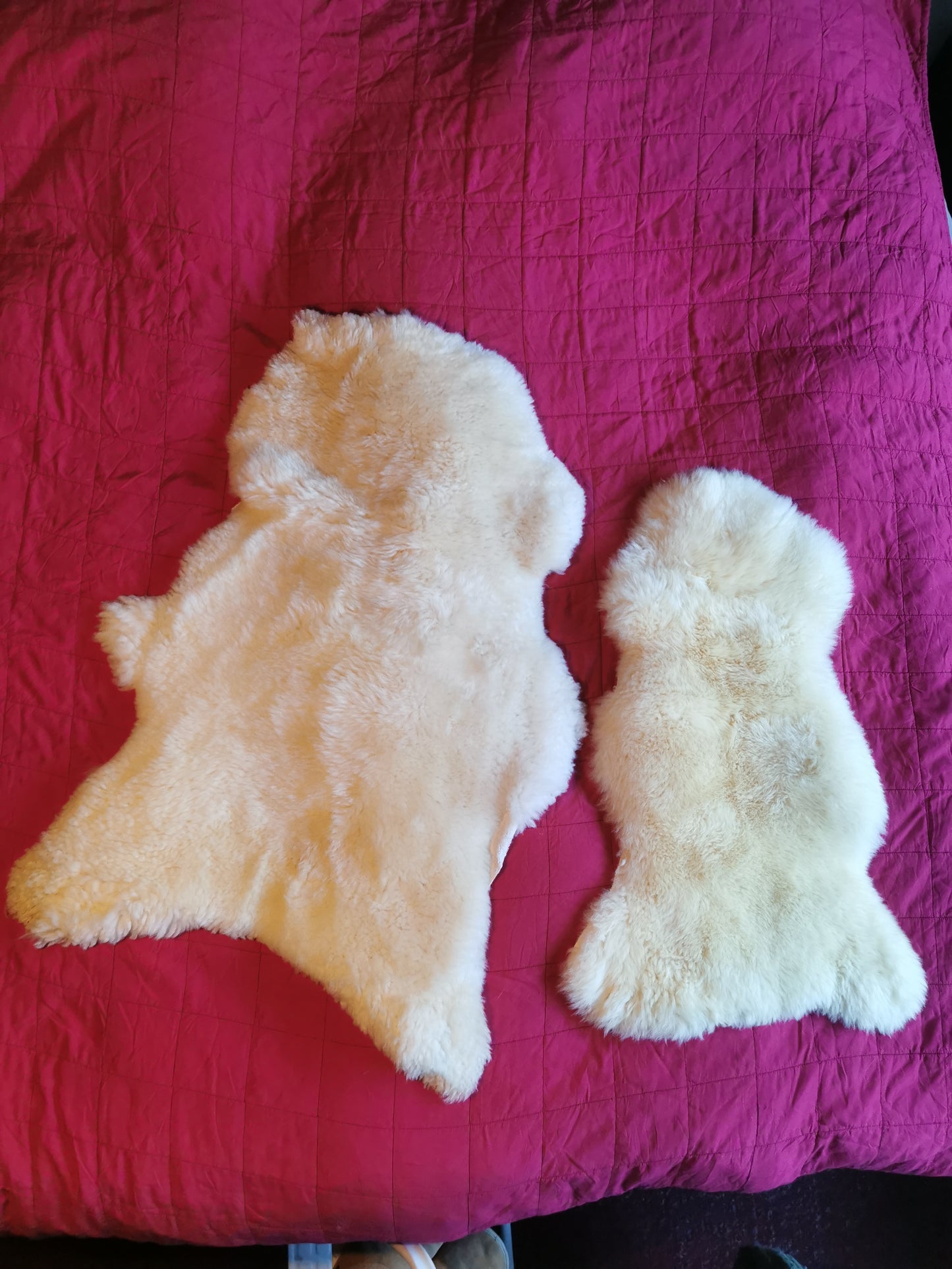Medizinisch gegerbte Felle Ideal für Baby's und Allergiker