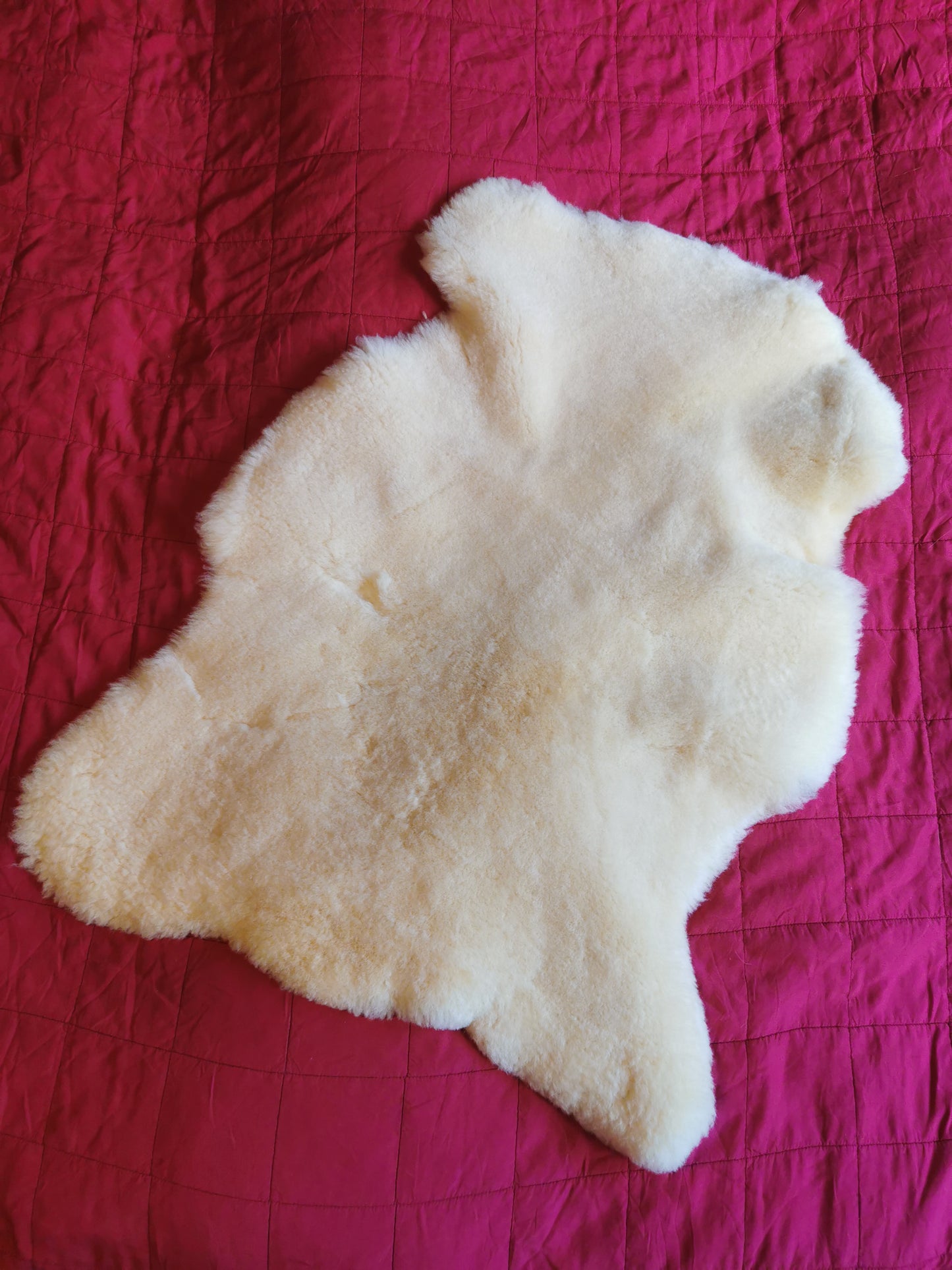 Medizinisch gegerbte Felle Ideal für Baby's und Allergiker
