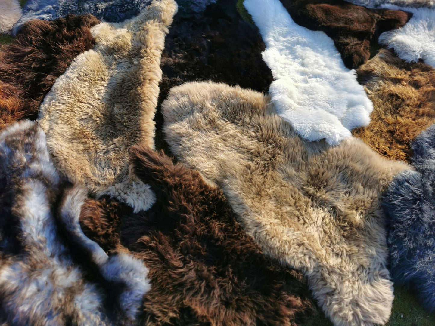 Öko. Schaffelle mit kleinen Fehlern