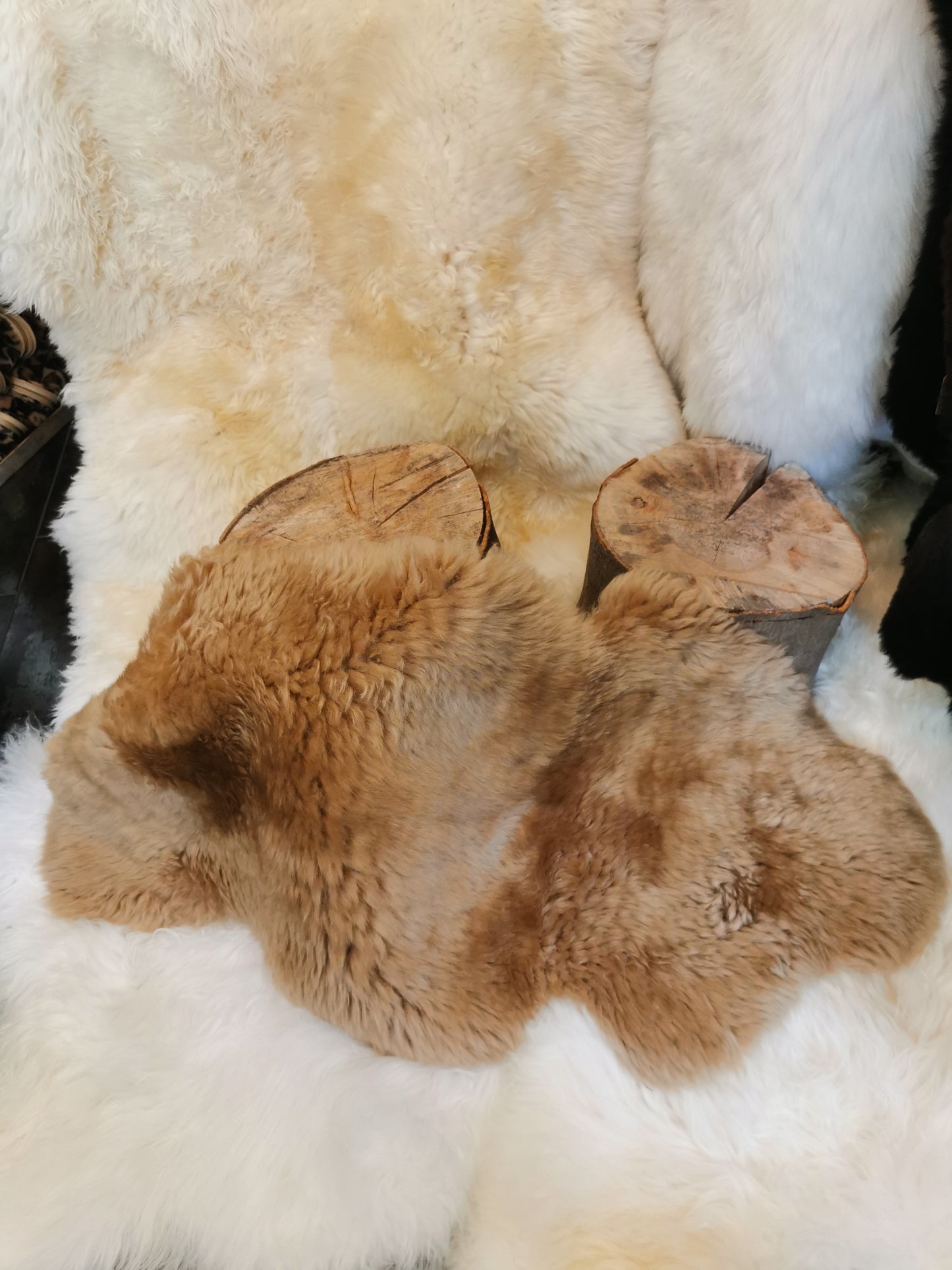 Englische Premium Felle in Beige