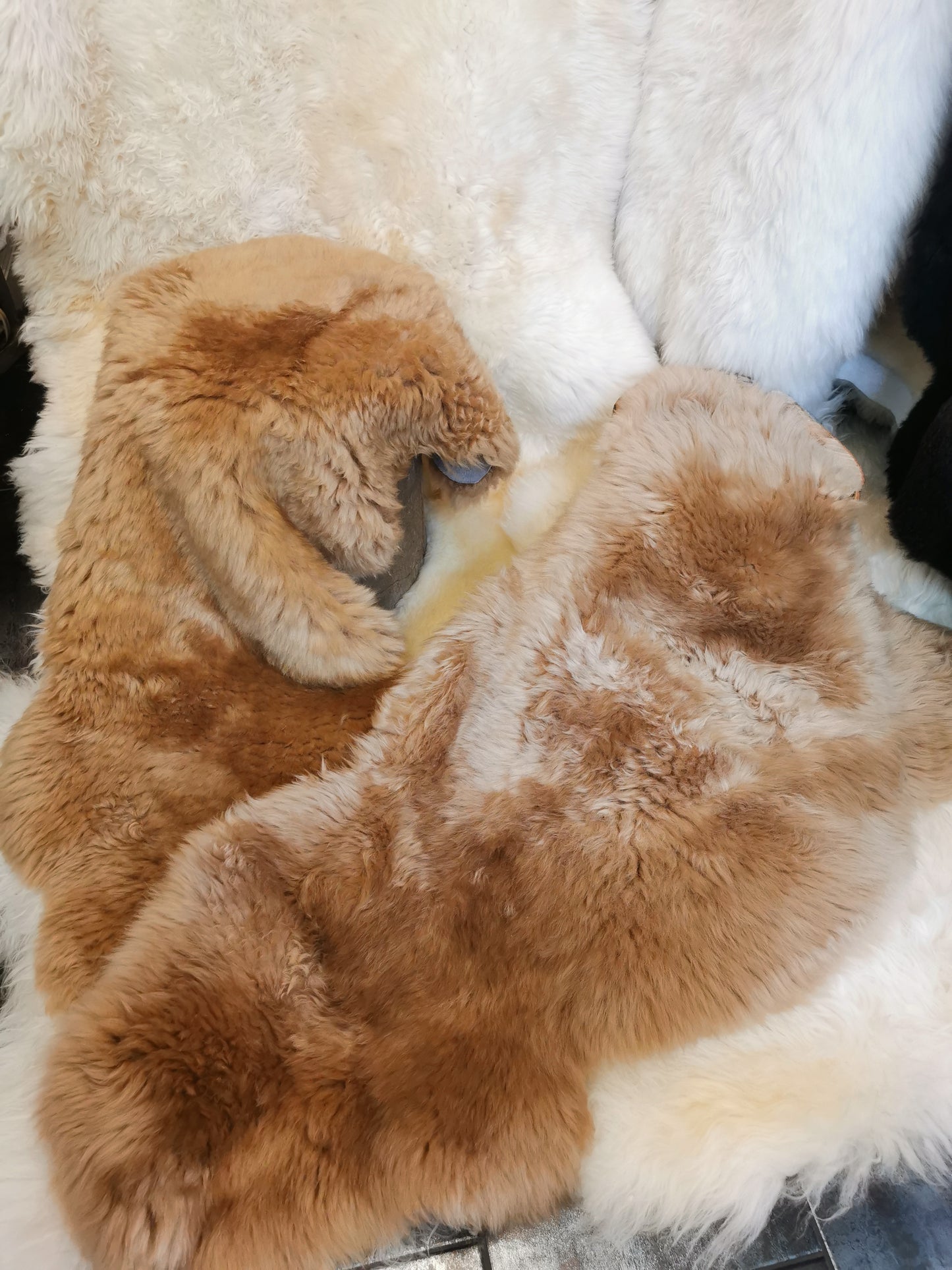 Englische Premium Felle in Beige