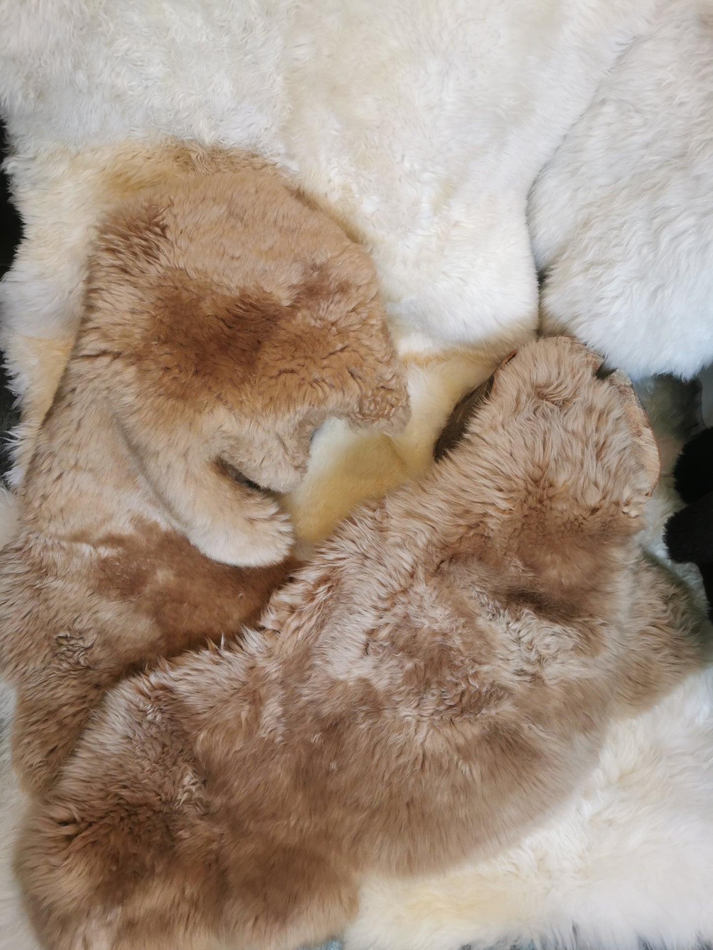 Englische Premium Felle in Beige