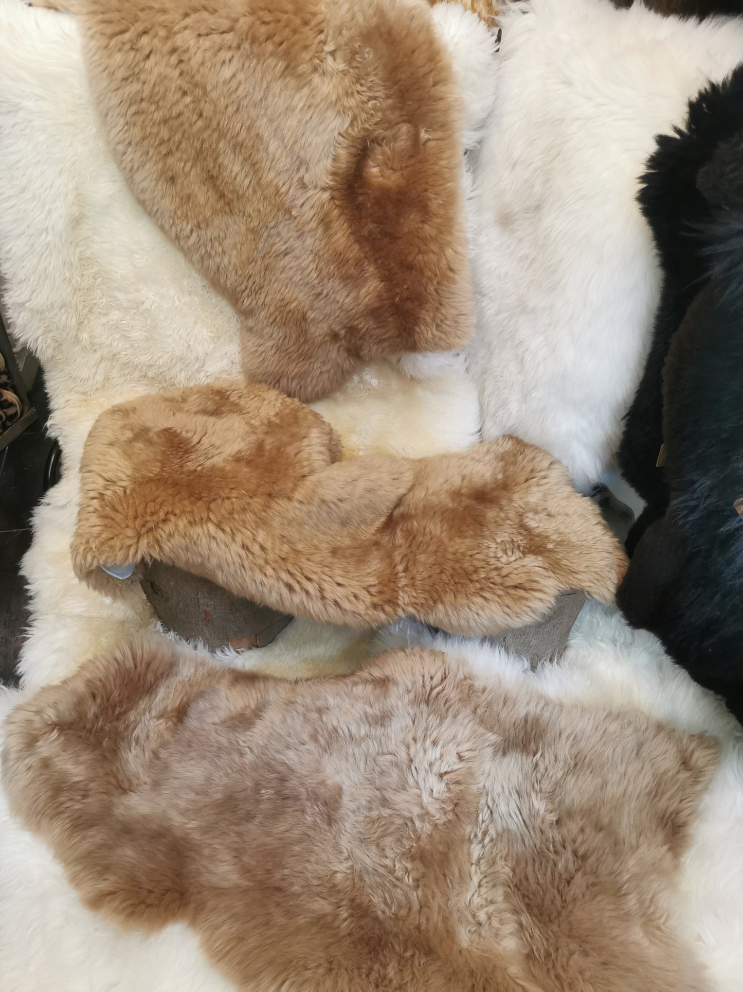 Englische Premium Felle in Beige