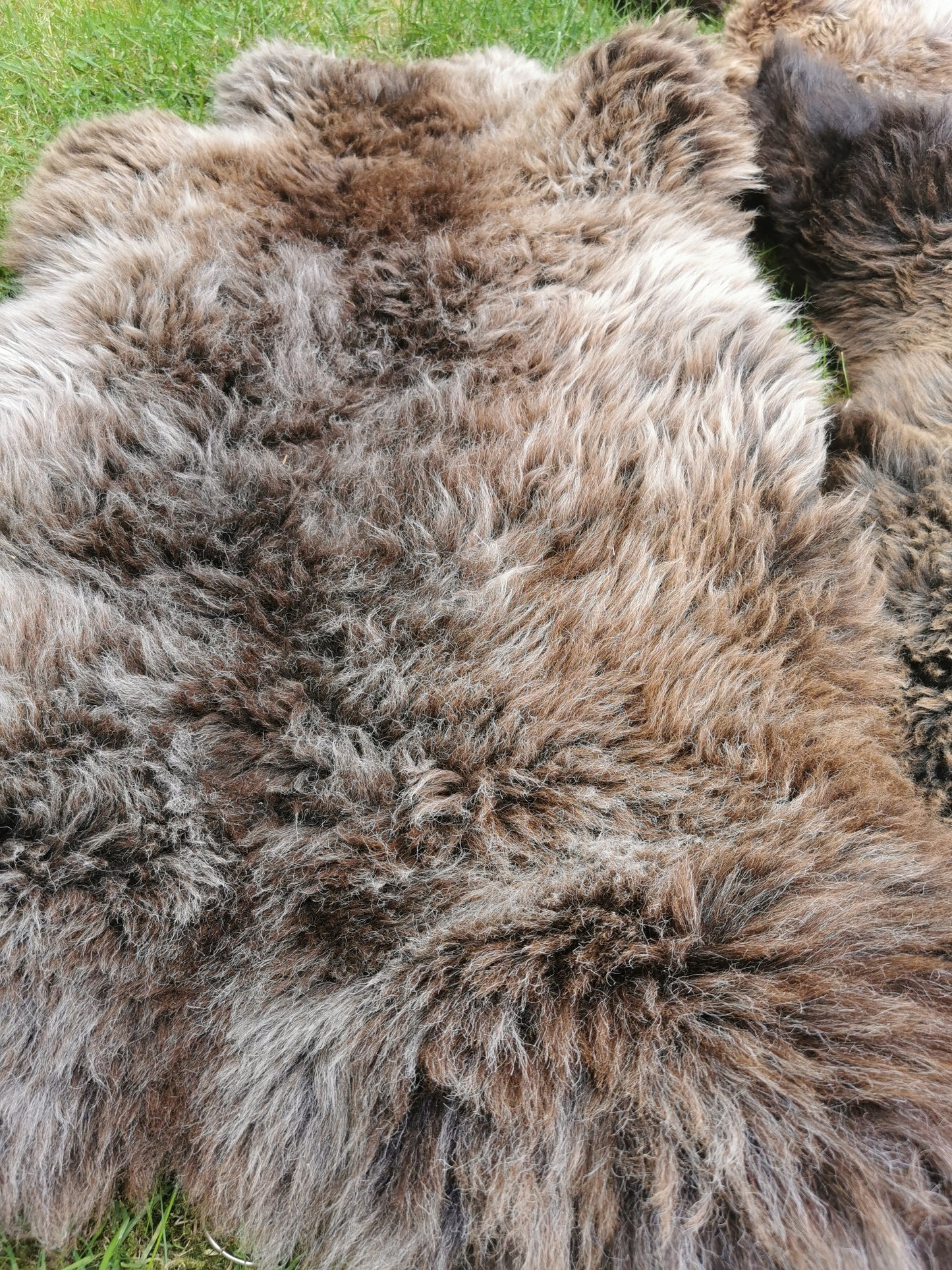 Seltene Premium Felle in Naturbraun und Graumeliert