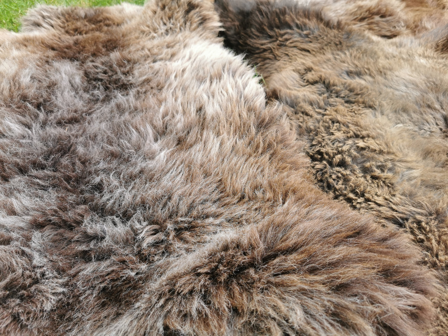 Seltene Premium Felle in Naturbraun und Graumeliert