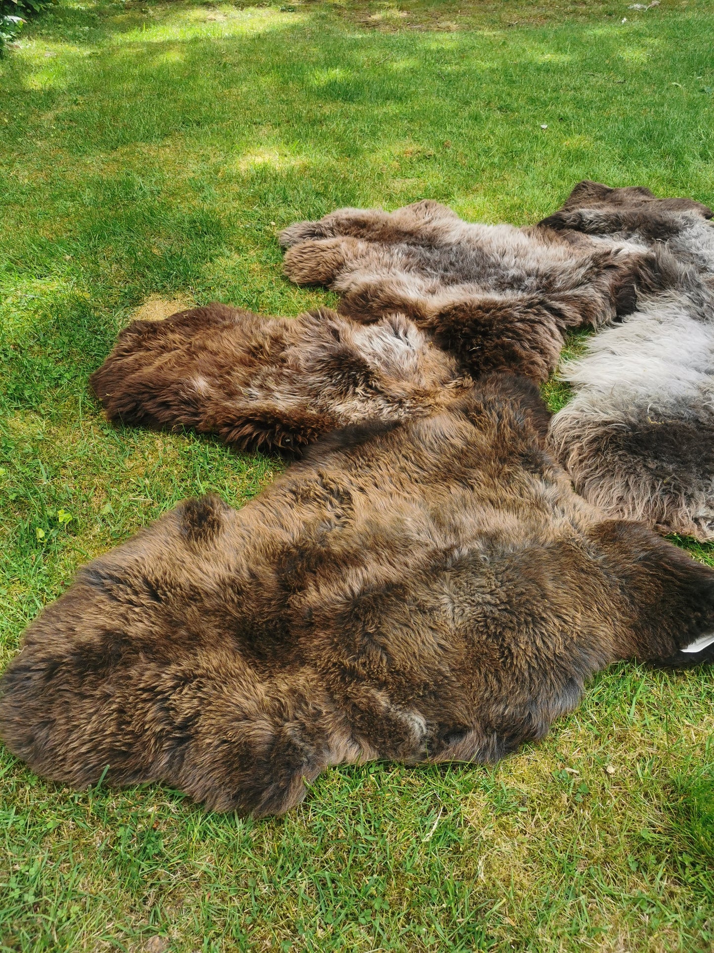 Seltene Premium Felle in Naturbraun und Graumeliert