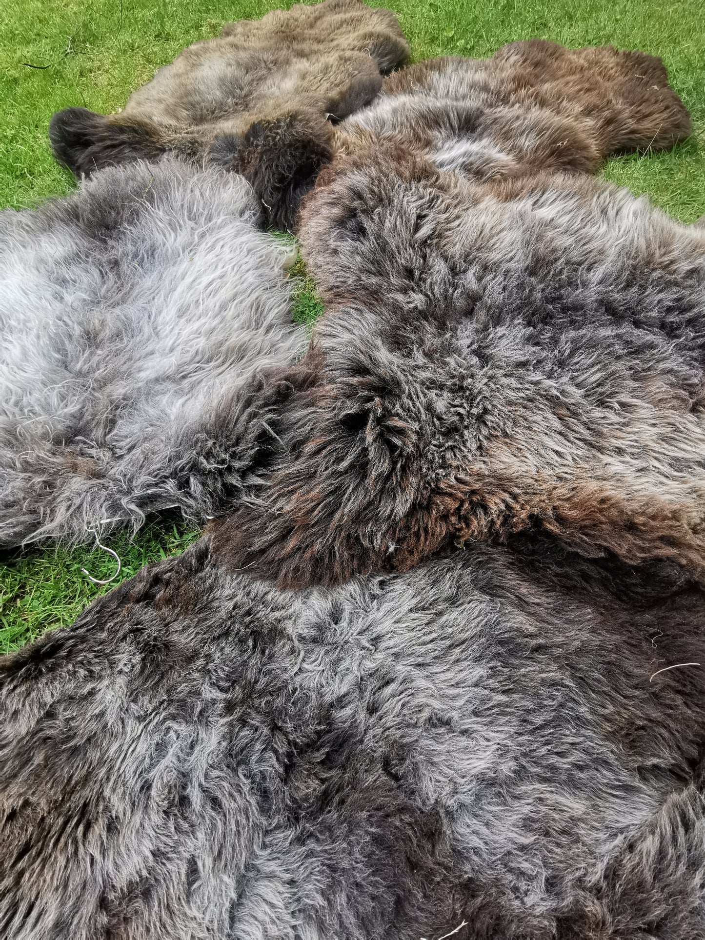 Seltene Premium Felle in Naturbraun und Graumeliert