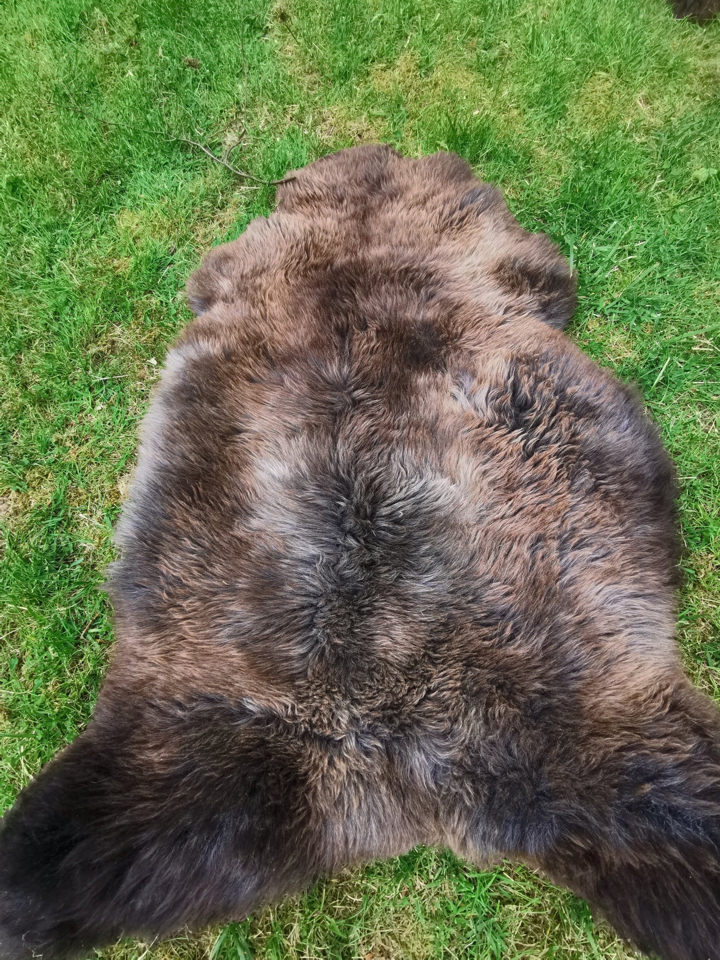 Seltene Premium Felle in Naturbraun und Graumeliert