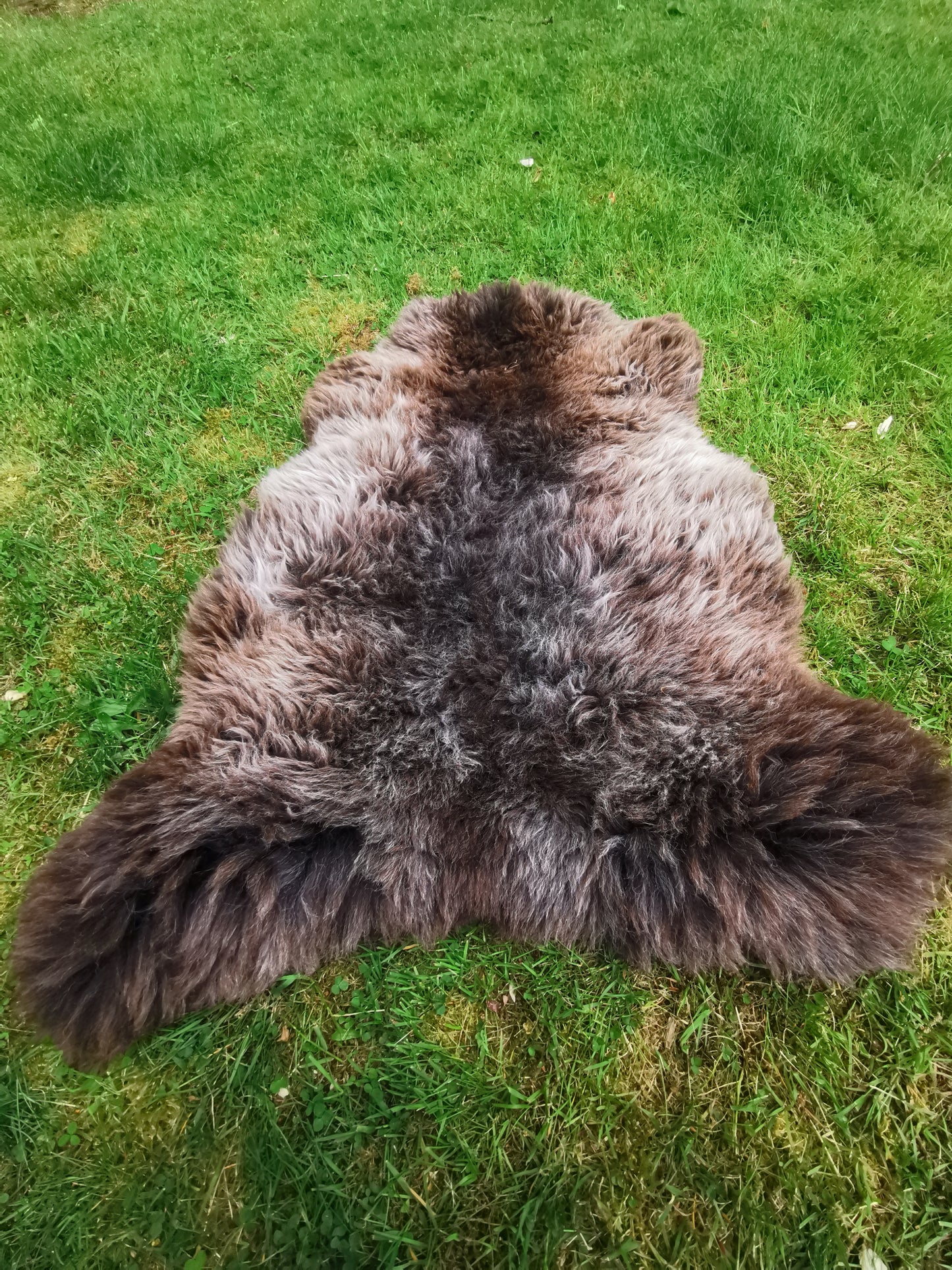 Seltene Premium Felle in Naturbraun und Graumeliert