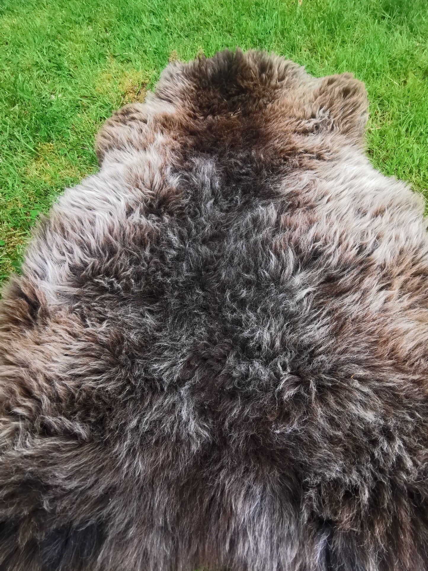 Seltene Premium Felle in Naturbraun und Graumeliert