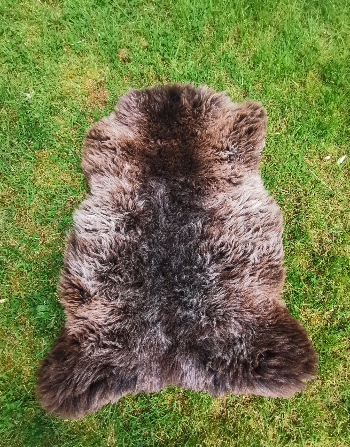 Seltene Premium Felle in Naturbraun und Graumeliert