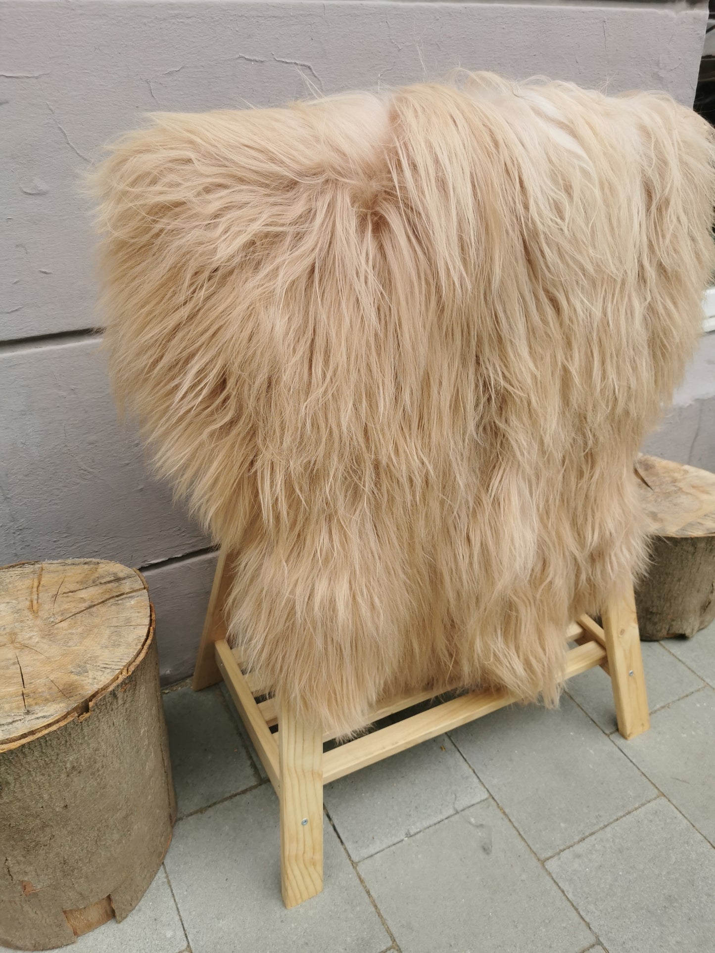 Seltene Island Schaffelle in Beige