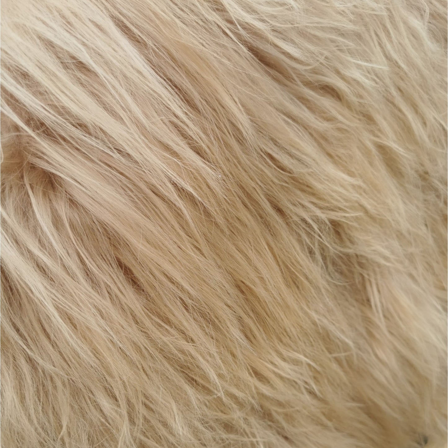 TOP Schaffell | 140cm | Echtes Lammfell |Teppich Deko | Beige | Sitzauflage