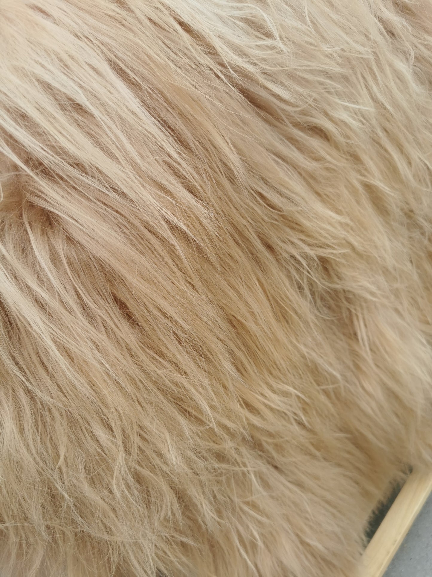 Seltene Island Schaffelle in Beige