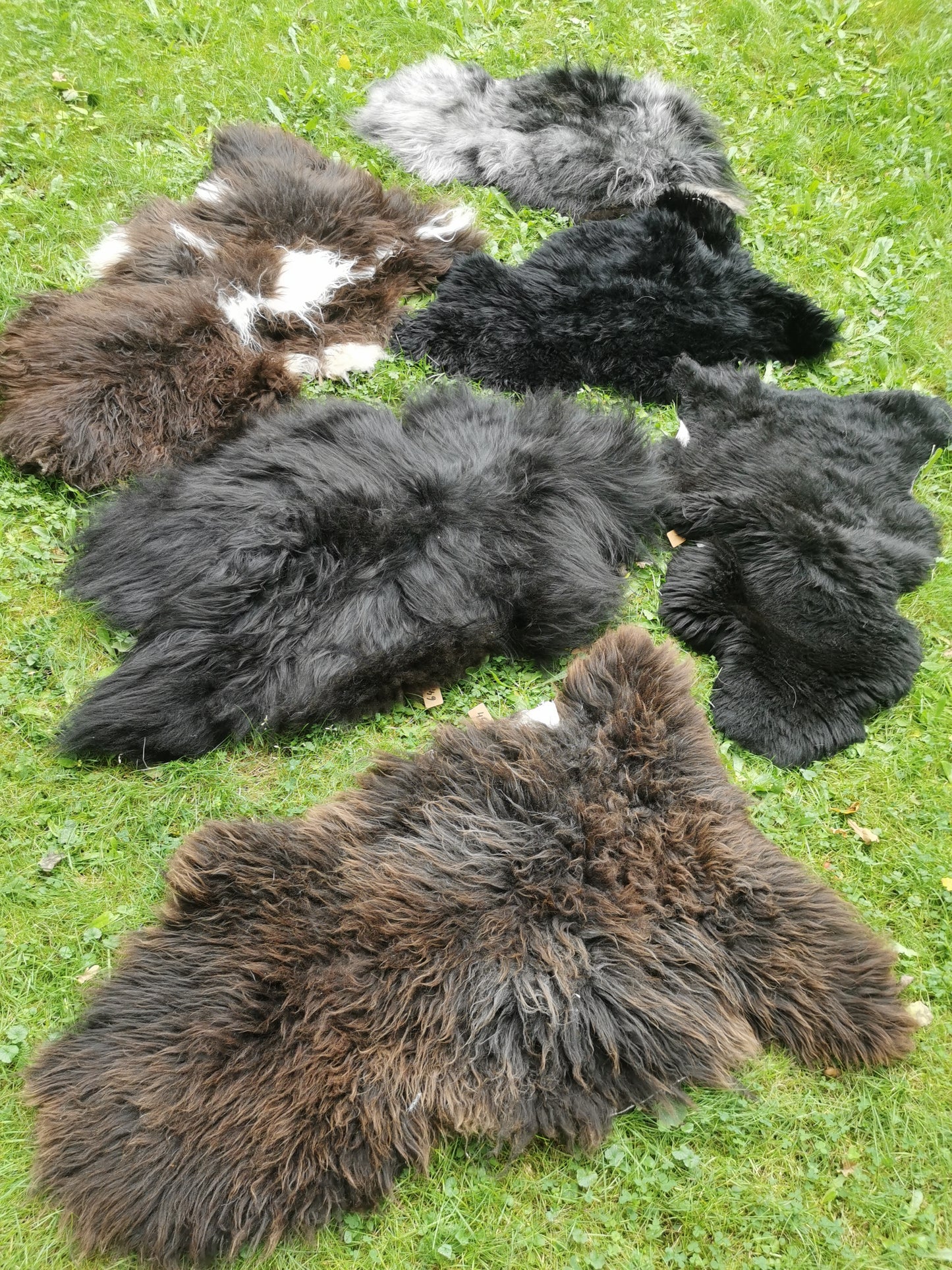 Brown L-XXL Sheepskins, Genuine Organic B Fur, Natural 1st &amp; 2nd Choice, Lambskin, Special Offer